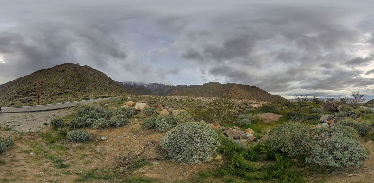 palm springs tram road