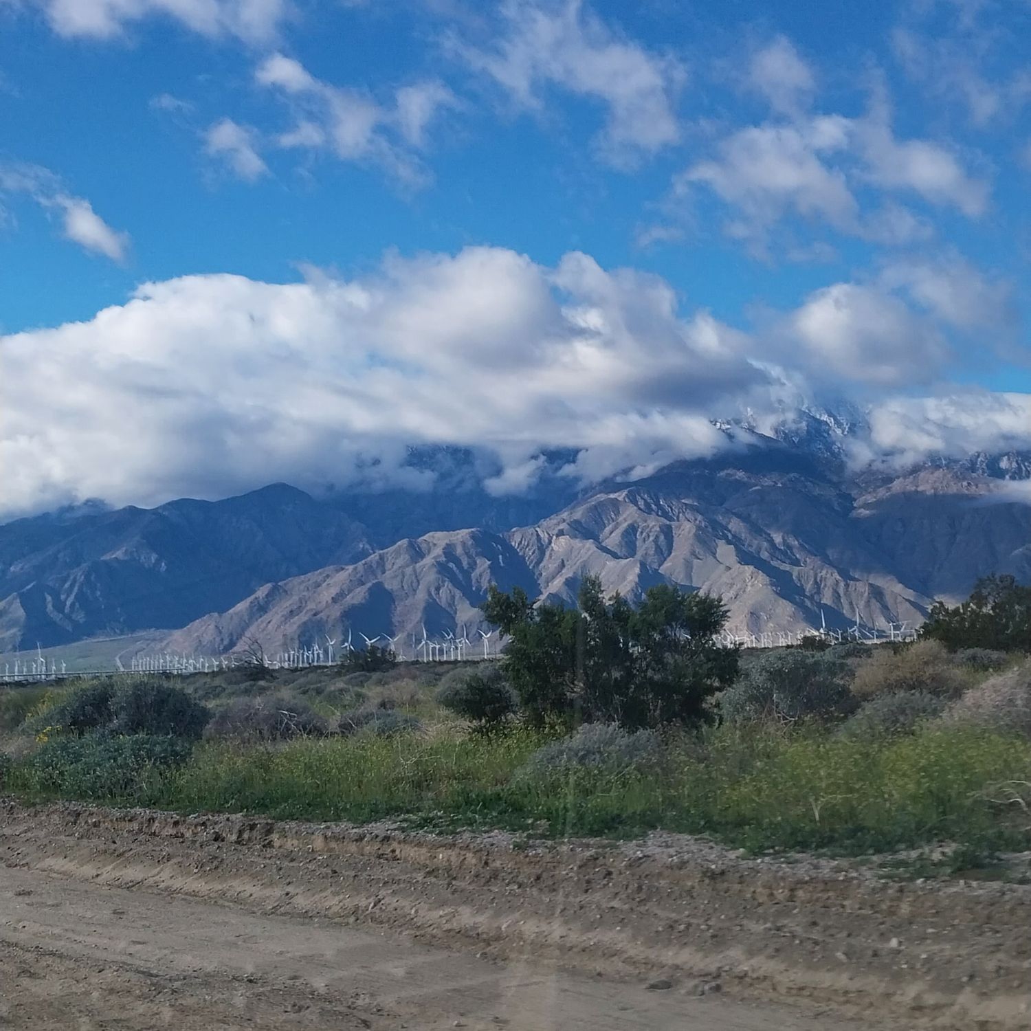 Mountains
Palm Springs CA
Mt. San Jacinto