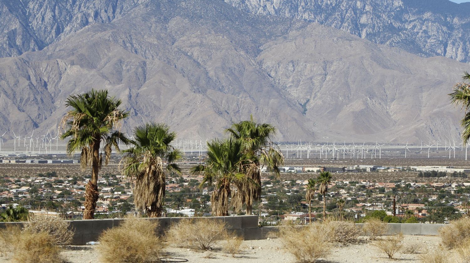 desert view #capalms