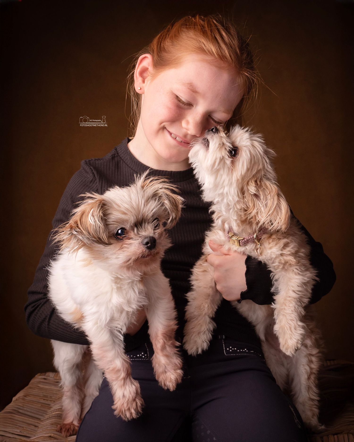 Knuffelmoment met twee hondjes op leren achtergrond