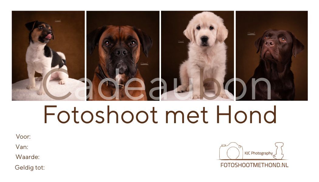 Foto van een cadeaubon van Fotoshoot met Hond, met daarop een puppu Jack Russel, Boxer, Golden Retriever Pup en een Labrador