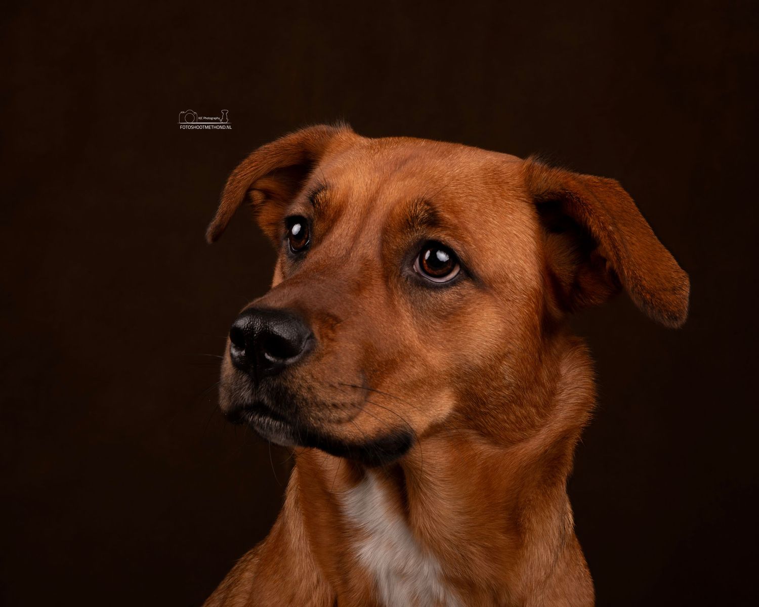 Fine art studiofotografie portret met een  leren achtergrond