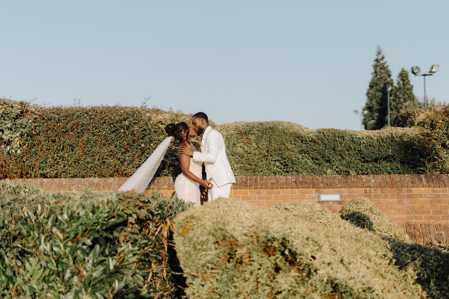 A romantic wedding photoshoot takes place in a scenic outdoor field with golden sunlight.