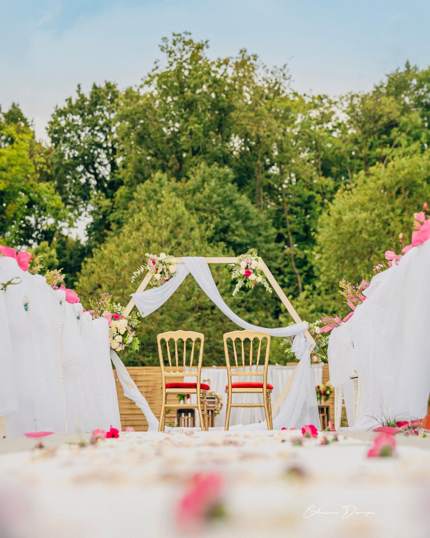 Outdoor wedding ceremony setup with white drapes and gold chairs under flowering arch.