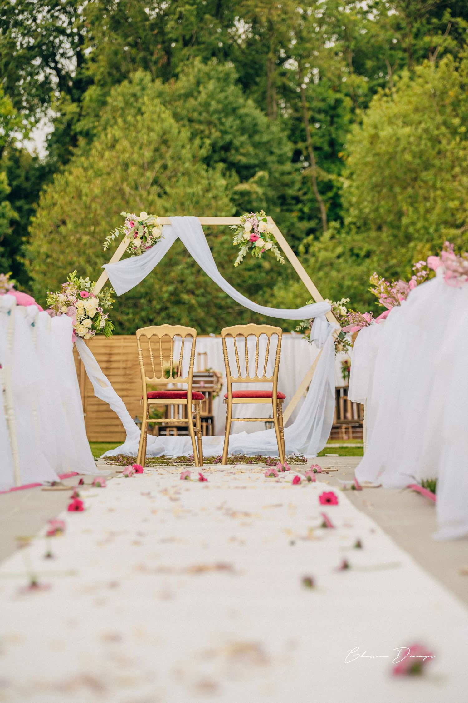 Romantic wedding arch with white draping and gold chairs along petal-strewn aisle.