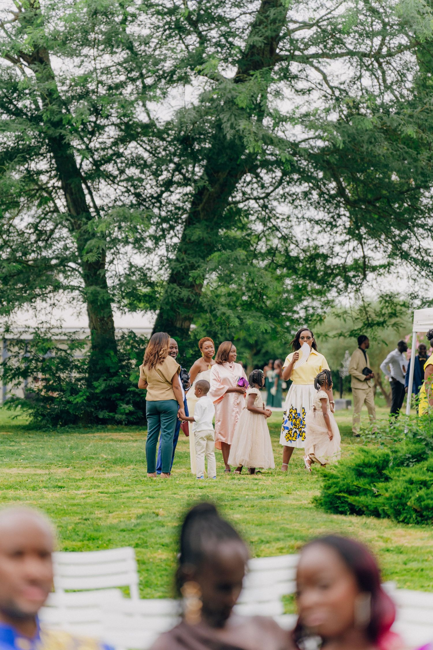 Wedding guests gathering on a green lawn with trees during an outdoor celebration.