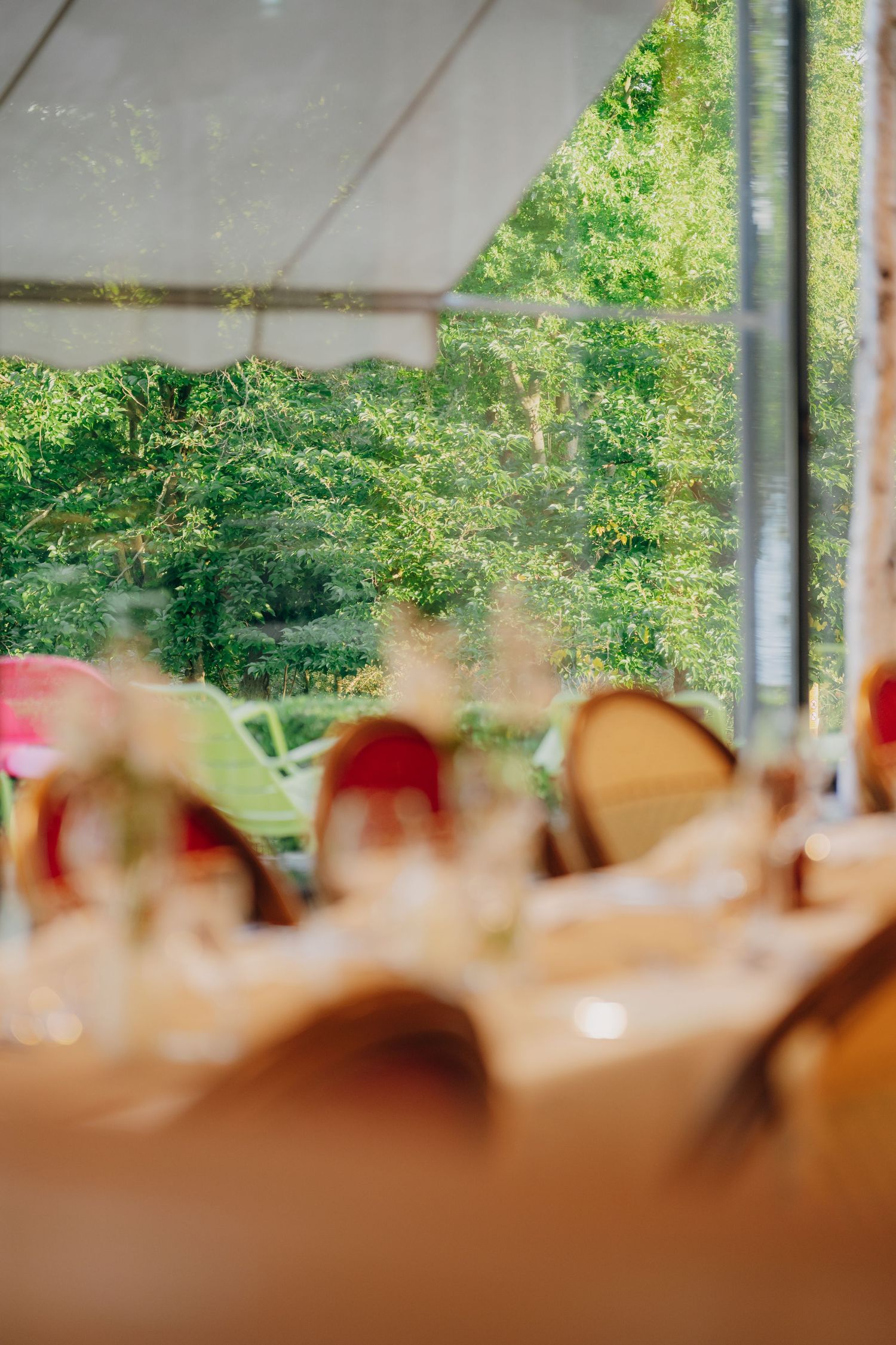 Blurred foreground with soft bokeh effect frames a green garden view through glass windows in background.