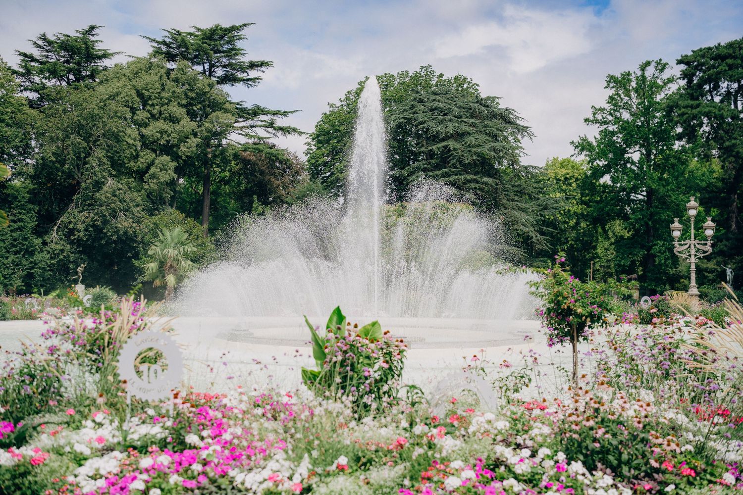 Beautiful garden fountain sprays water over blooming pink roses and flowers in a lush landscaped park setting.