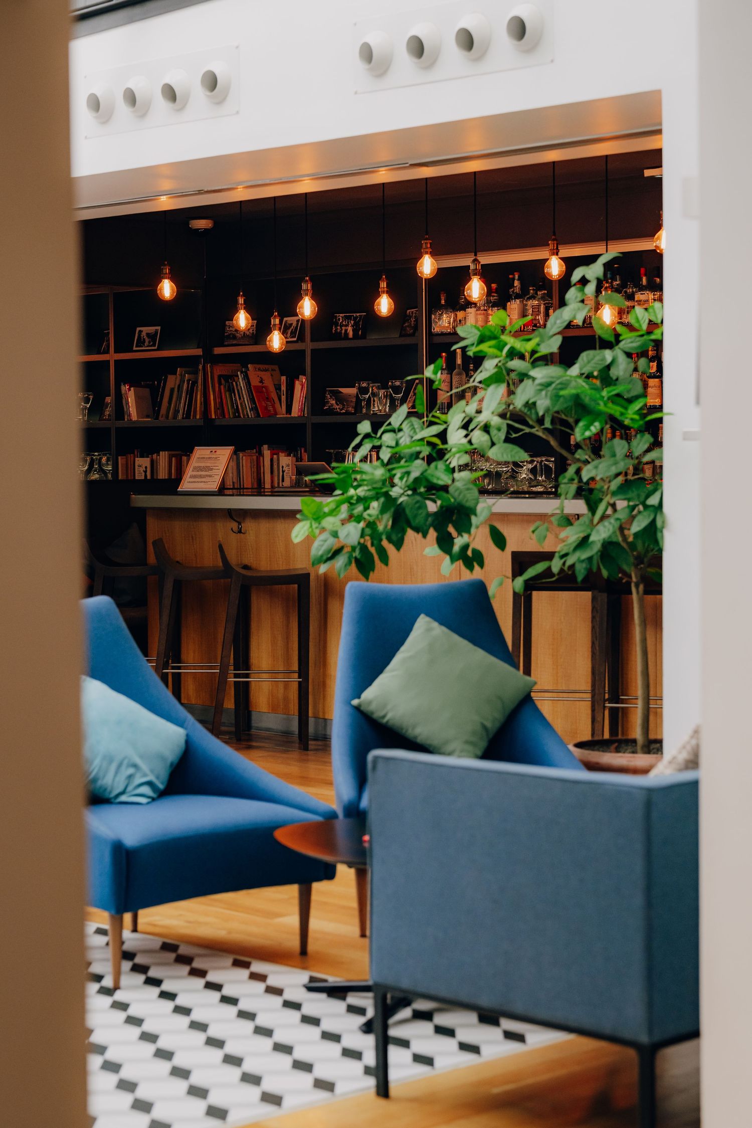 Modern hotel lounge area with blue armchairs and indoor plants against white walls.