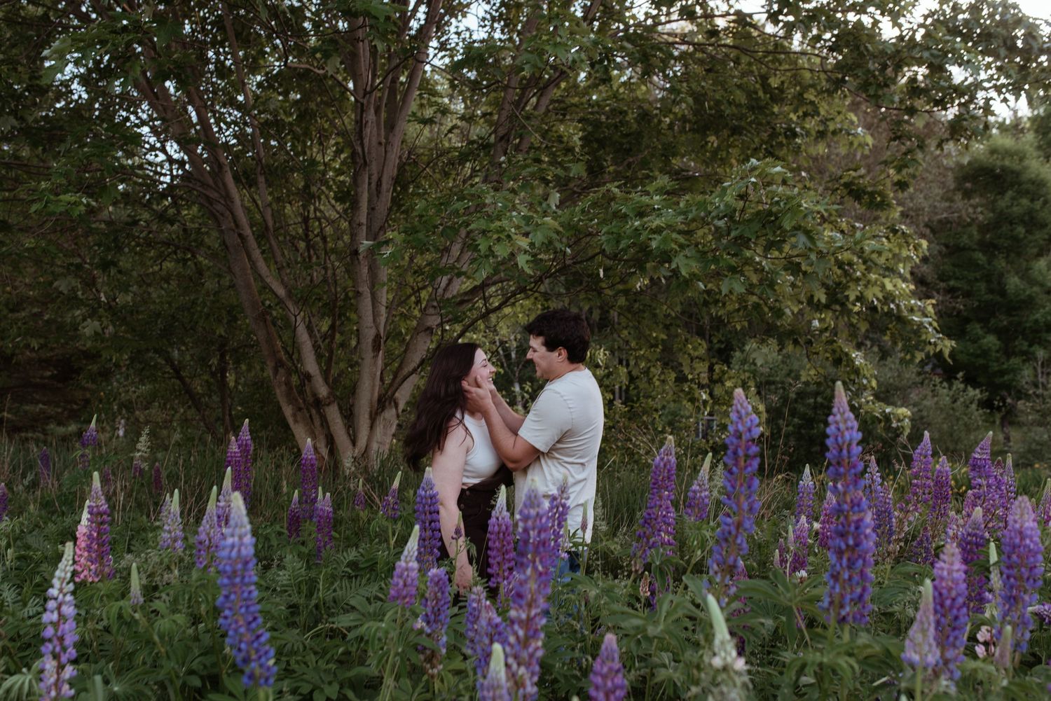 A couple stands together in a field of blooming purple lupine flowers at dusk among trees.