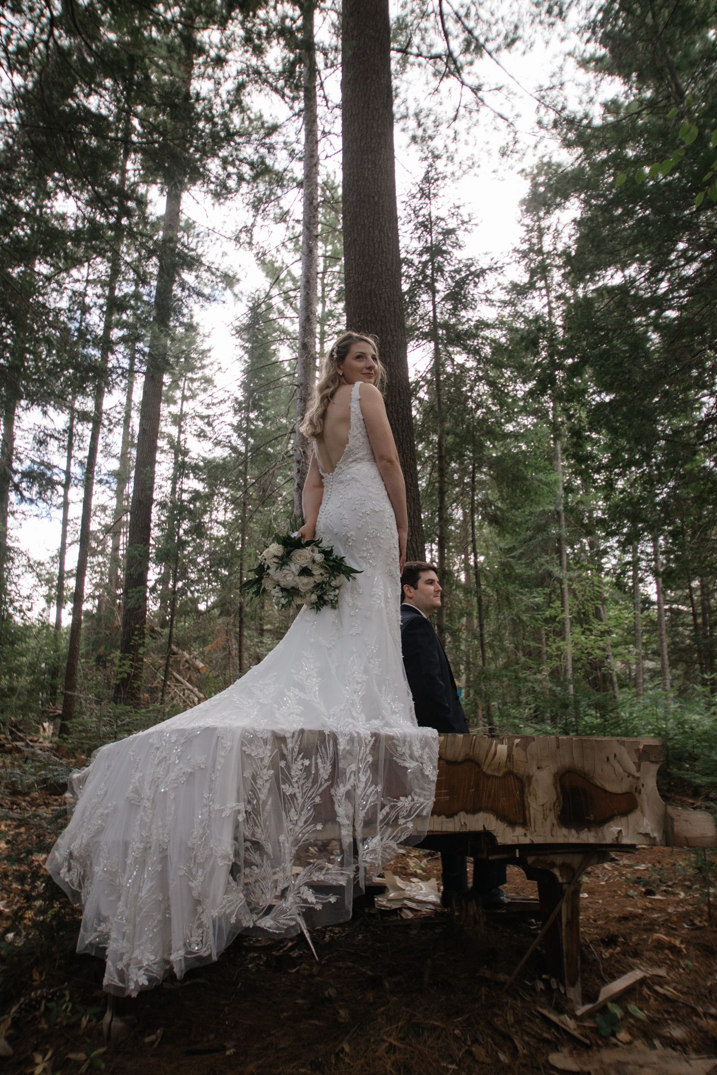 A wedding couple poses on a tree stump in a moody evergreen forest setting with a flowing lace dress train.