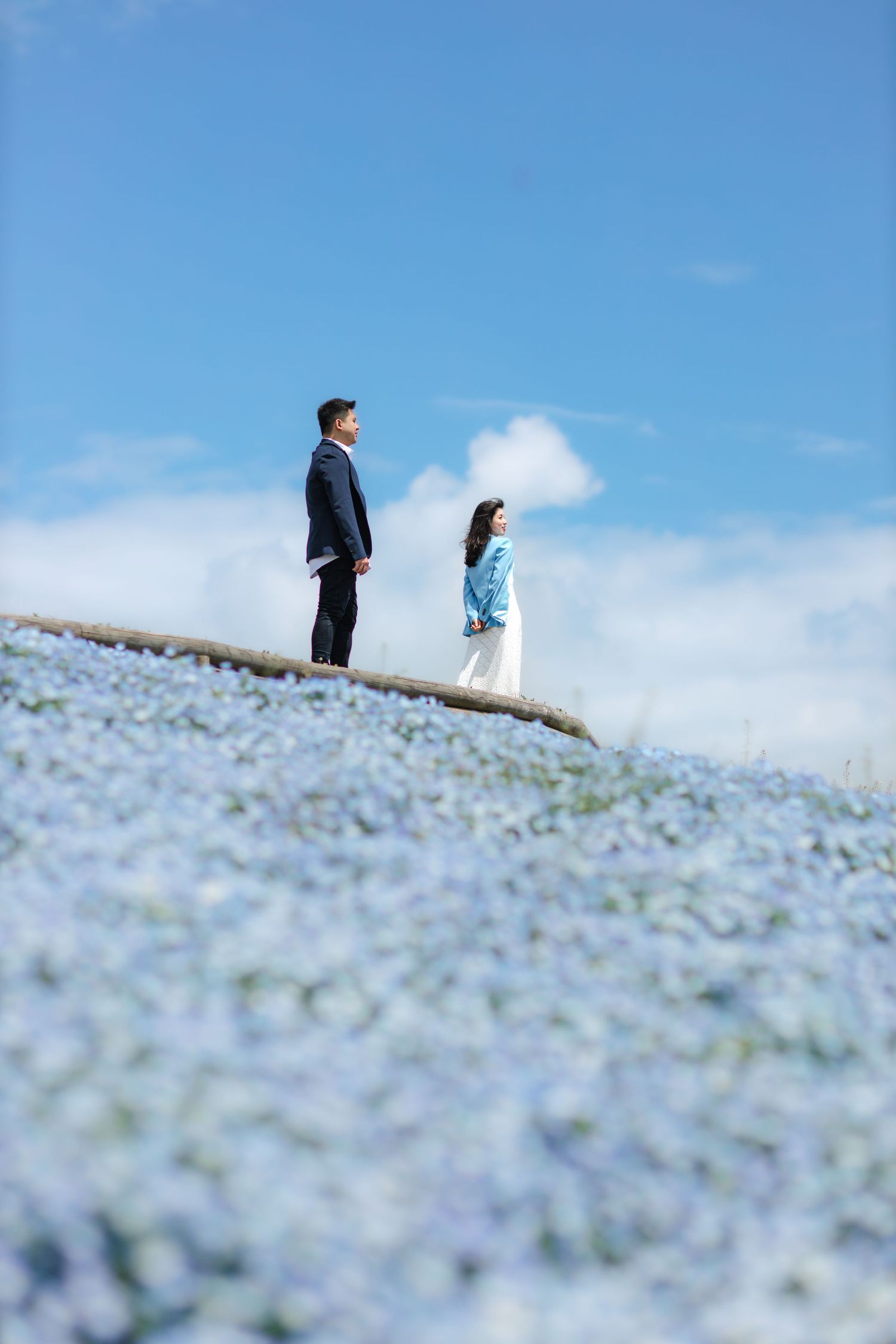 Two figures standing on a hillside covered in light blue flowers against a blue sky.