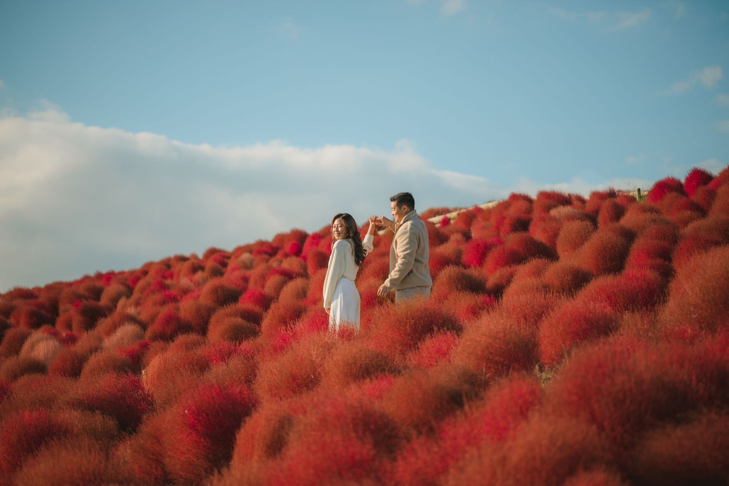 Two people standing among vibrant red kochia bushes under blue sky.