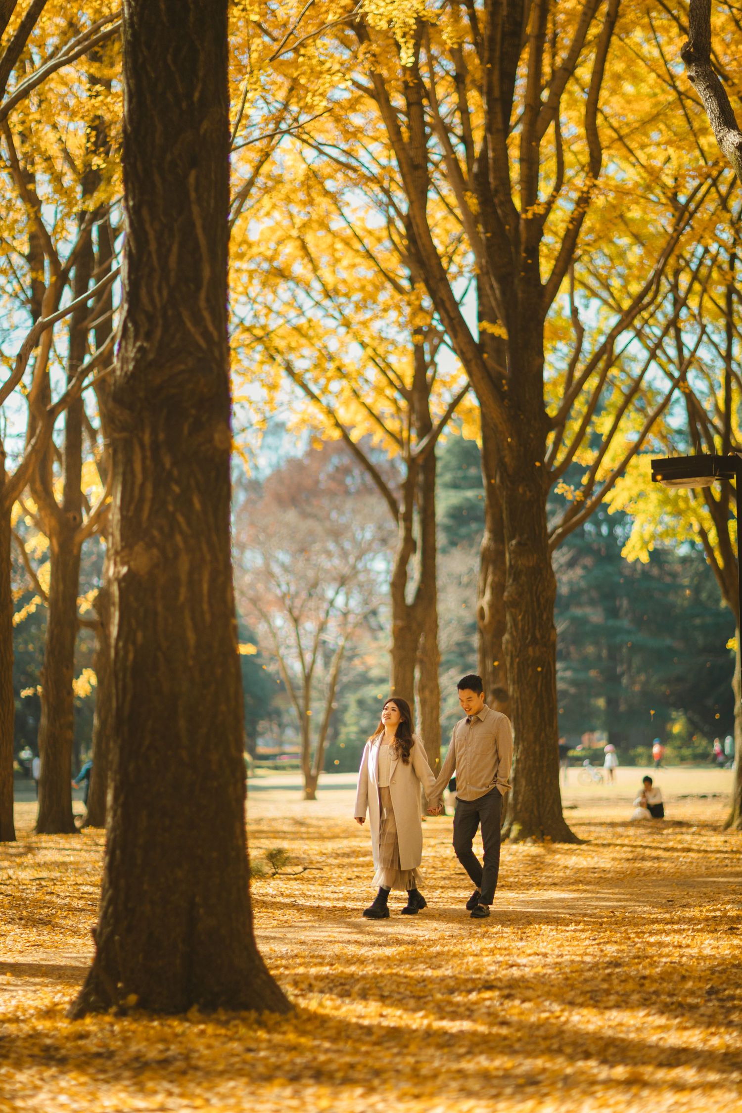 A couple walks along a tree-lined path covered in vibrant yellow autumn leaves.