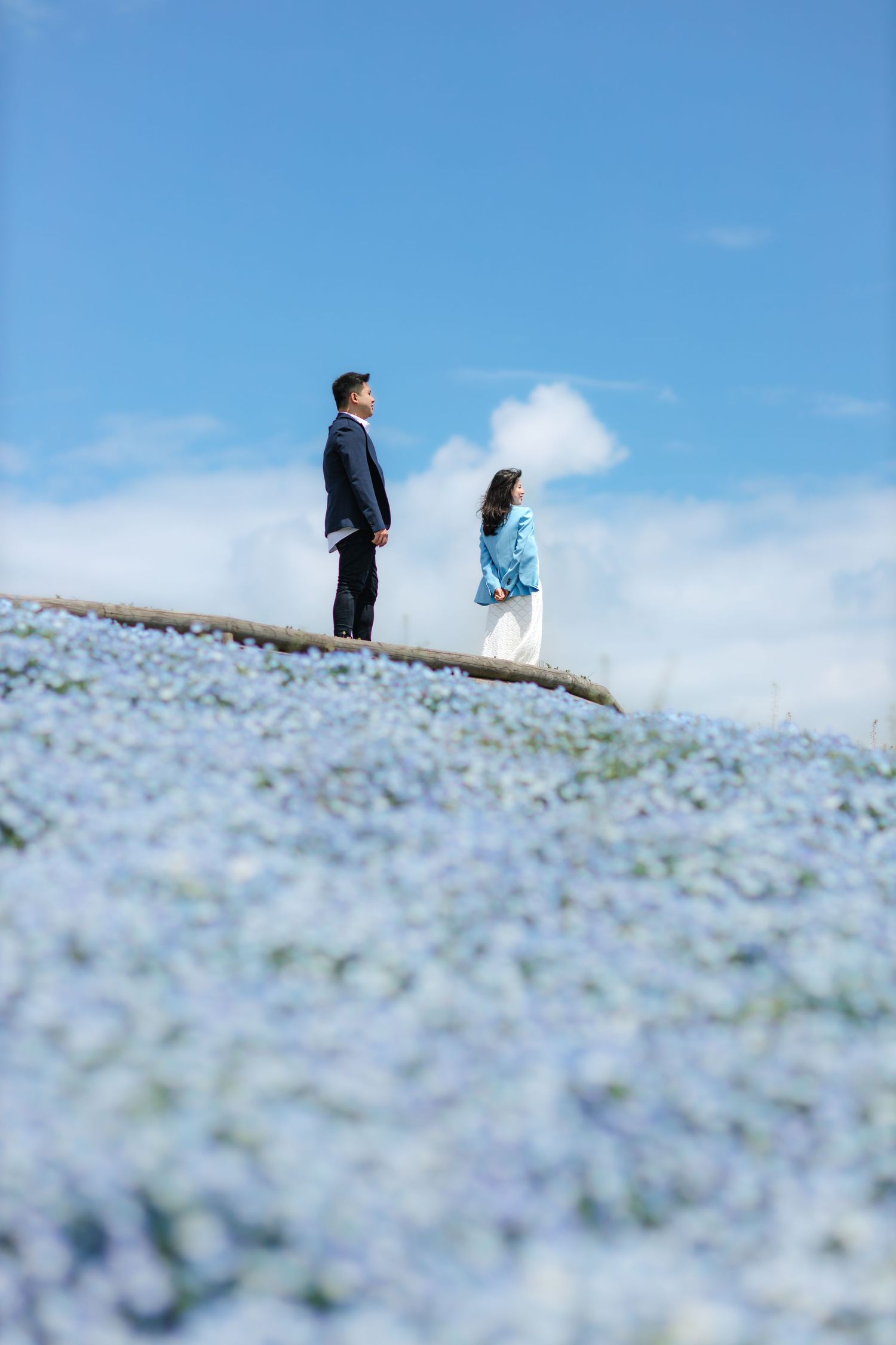 A couple stands on a hill overlooking a field of light blue flowers against a bright blue sky.