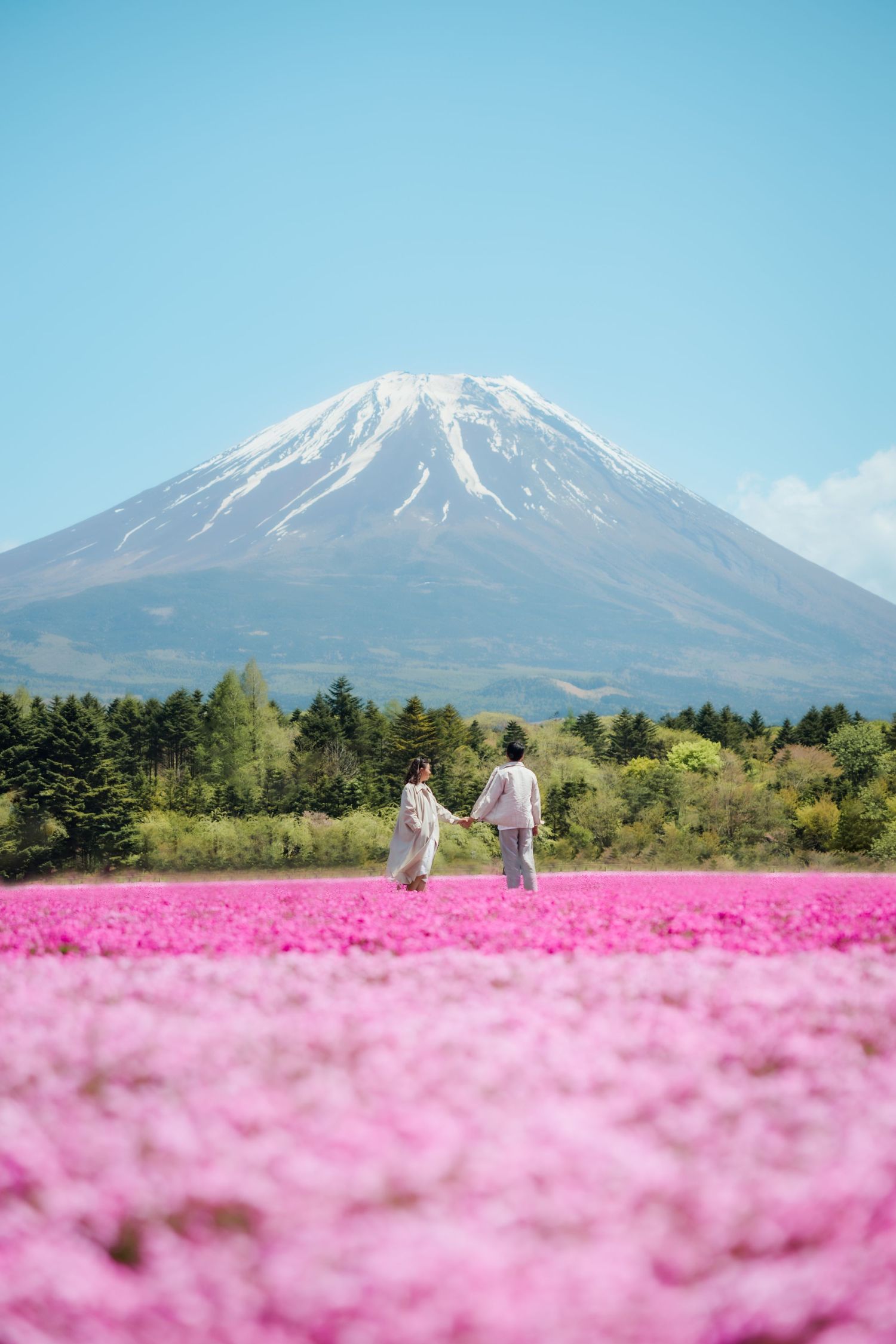 Two figures walking through pink flower field with Mount Fuji in background.