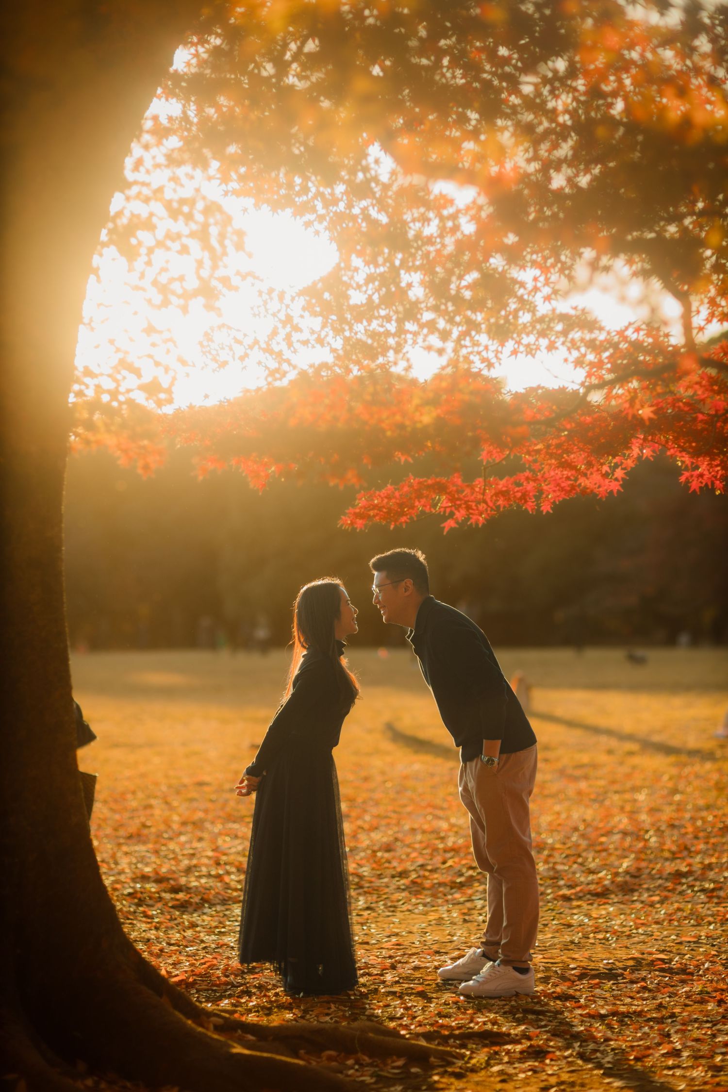 A romantic sunset moment in a park with autumn foliage and golden light filtering through the trees.