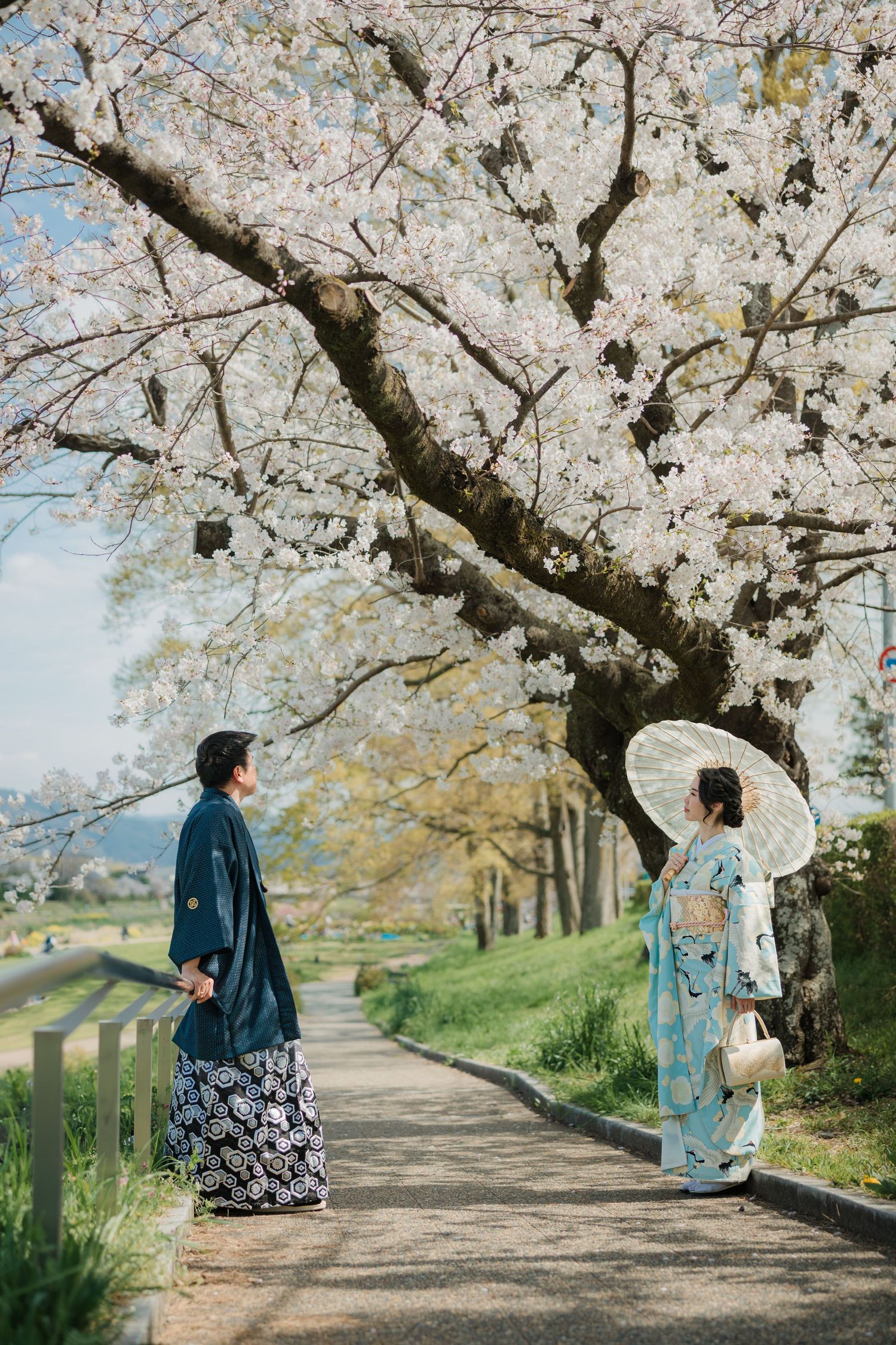Two people in traditional Japanese clothing stand beneath blooming cherry blossoms on a path.