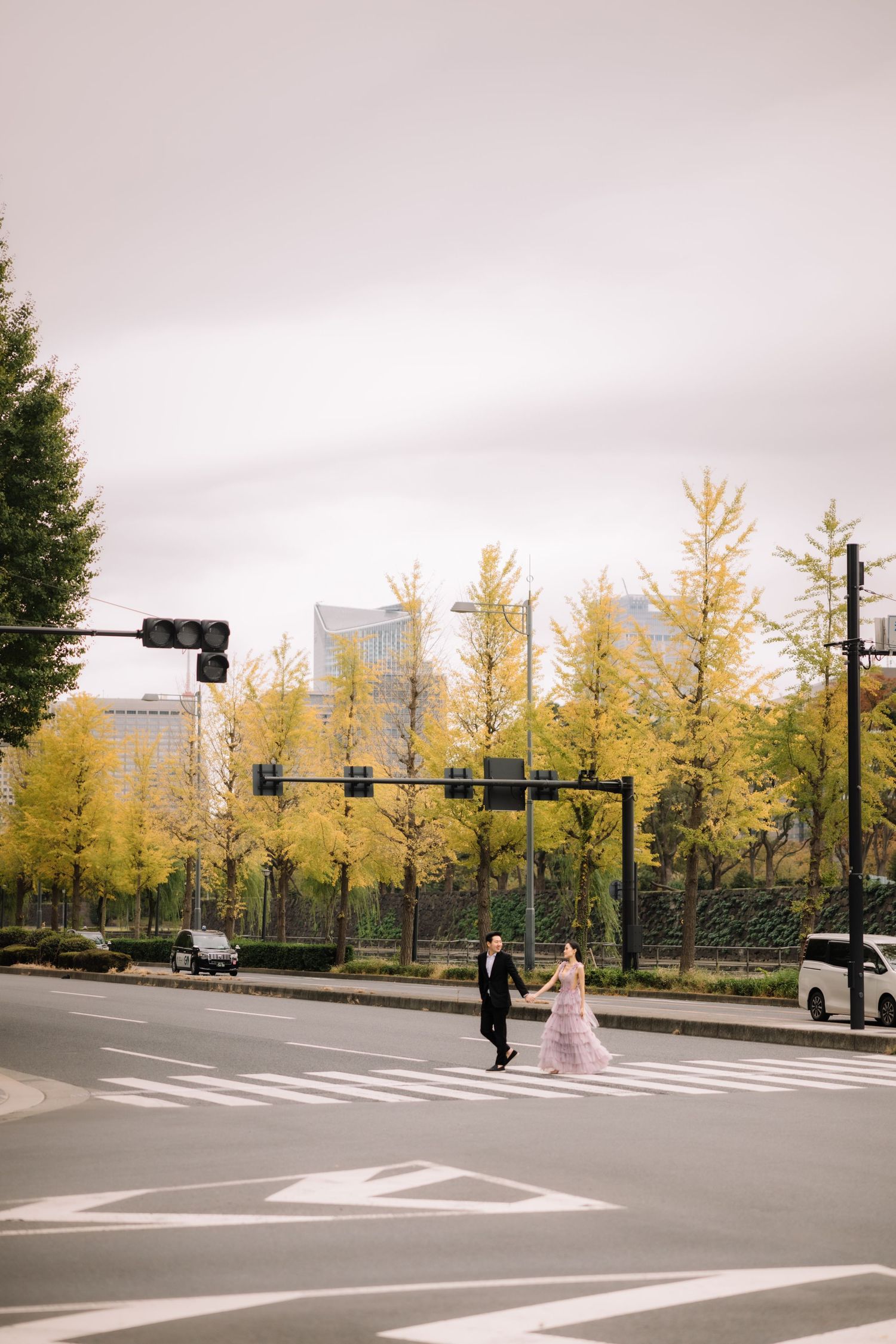 Couple crossing city street with yellow ginkgo trees and traffic lights in autumn.