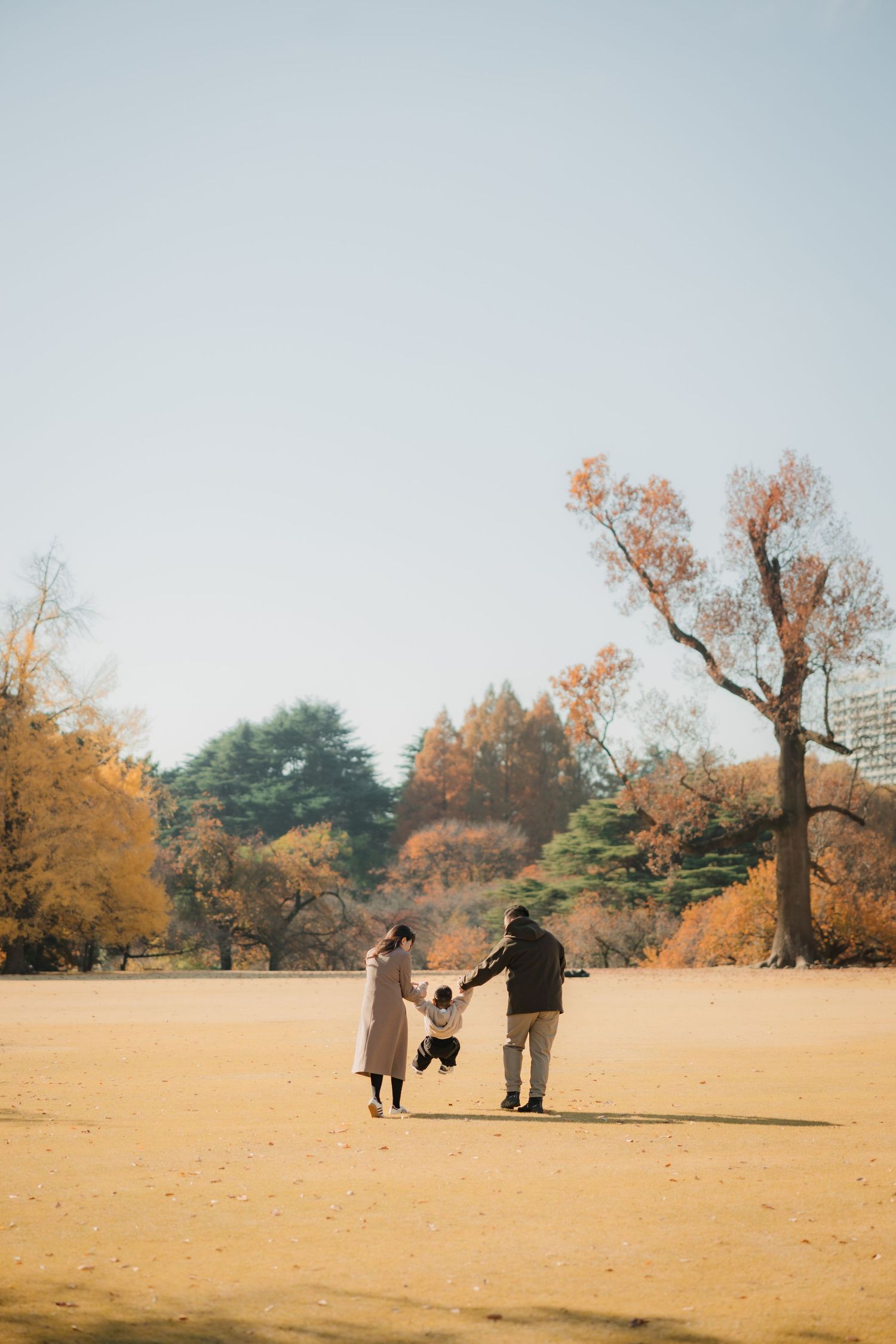 A family walking together in a park during autumn with beautiful golden trees in the background.