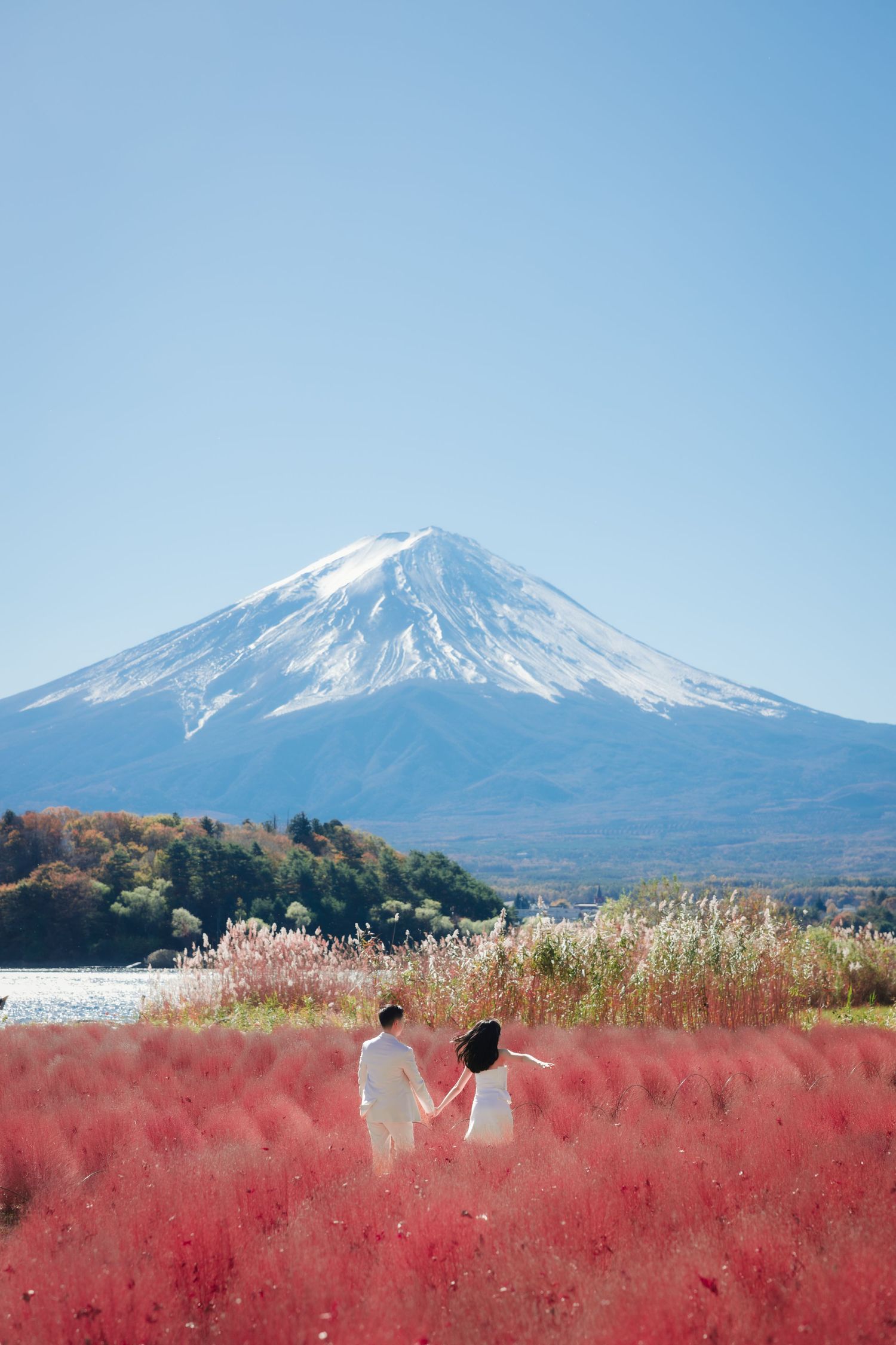 Couple holding hands in red grass field with Mount Fuji in the background.