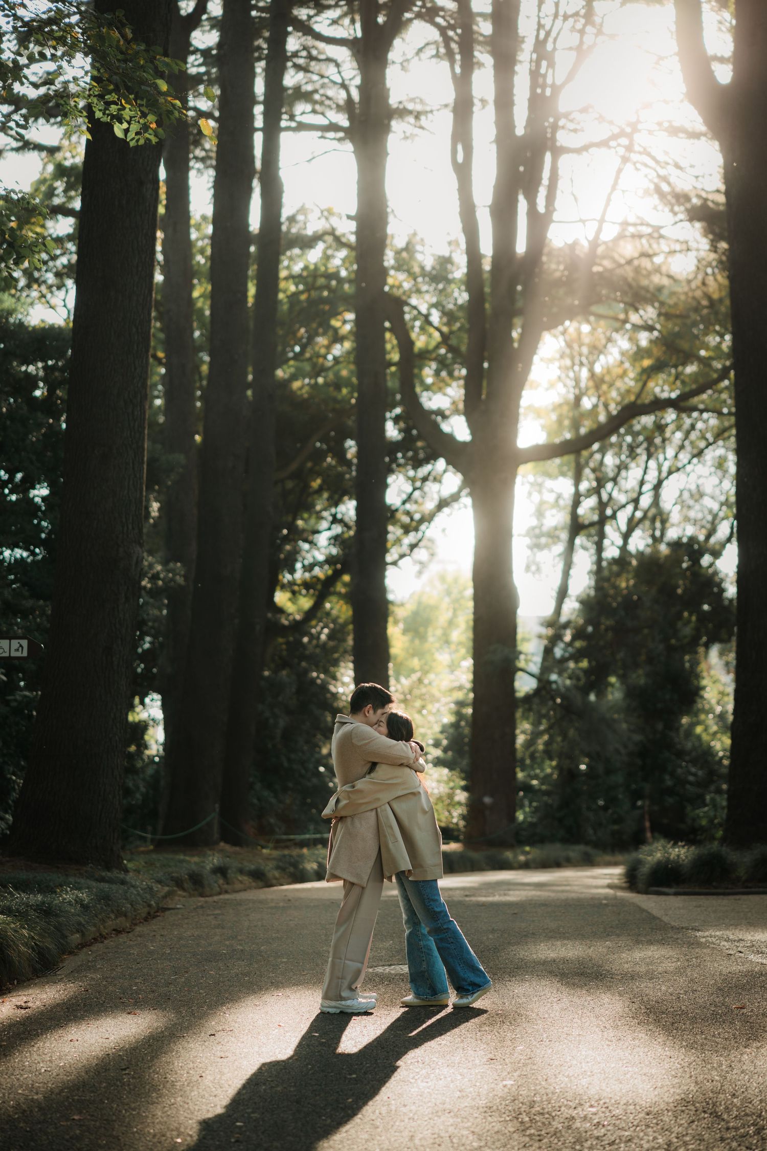 Two people embrace on a sunlit forest path with streaming sunbeams through the trees.