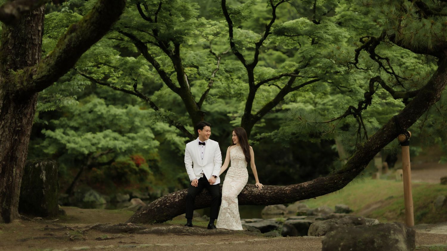 A couple in wedding attire poses together on a fallen tree trunk beneath lush green forest canopy.