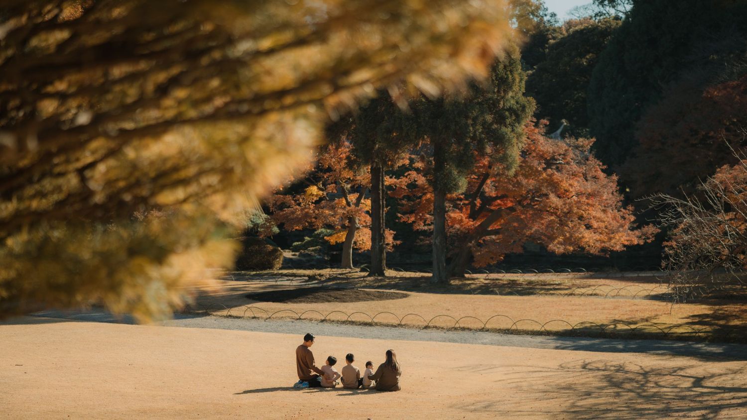 A distant view of people gathered in a sunlit clearing surrounded by autumn trees.