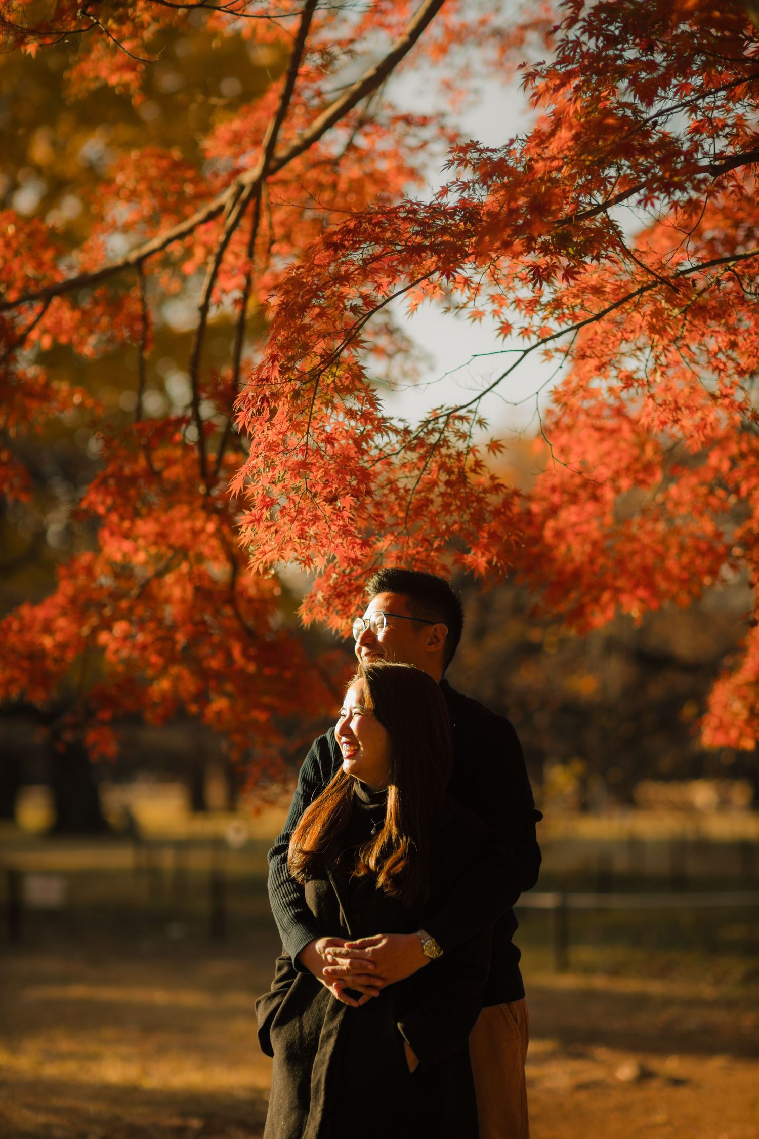 Romantic couple embraces under vibrant red maple leaves during golden hour in a park.