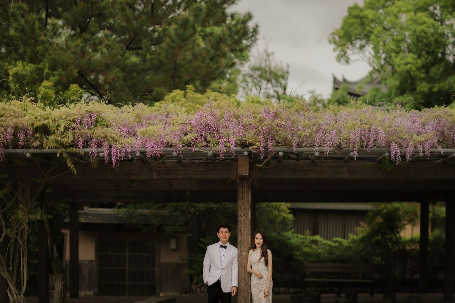 A couple stands beneath a blooming wisteria pergola in a tranquil garden setting.