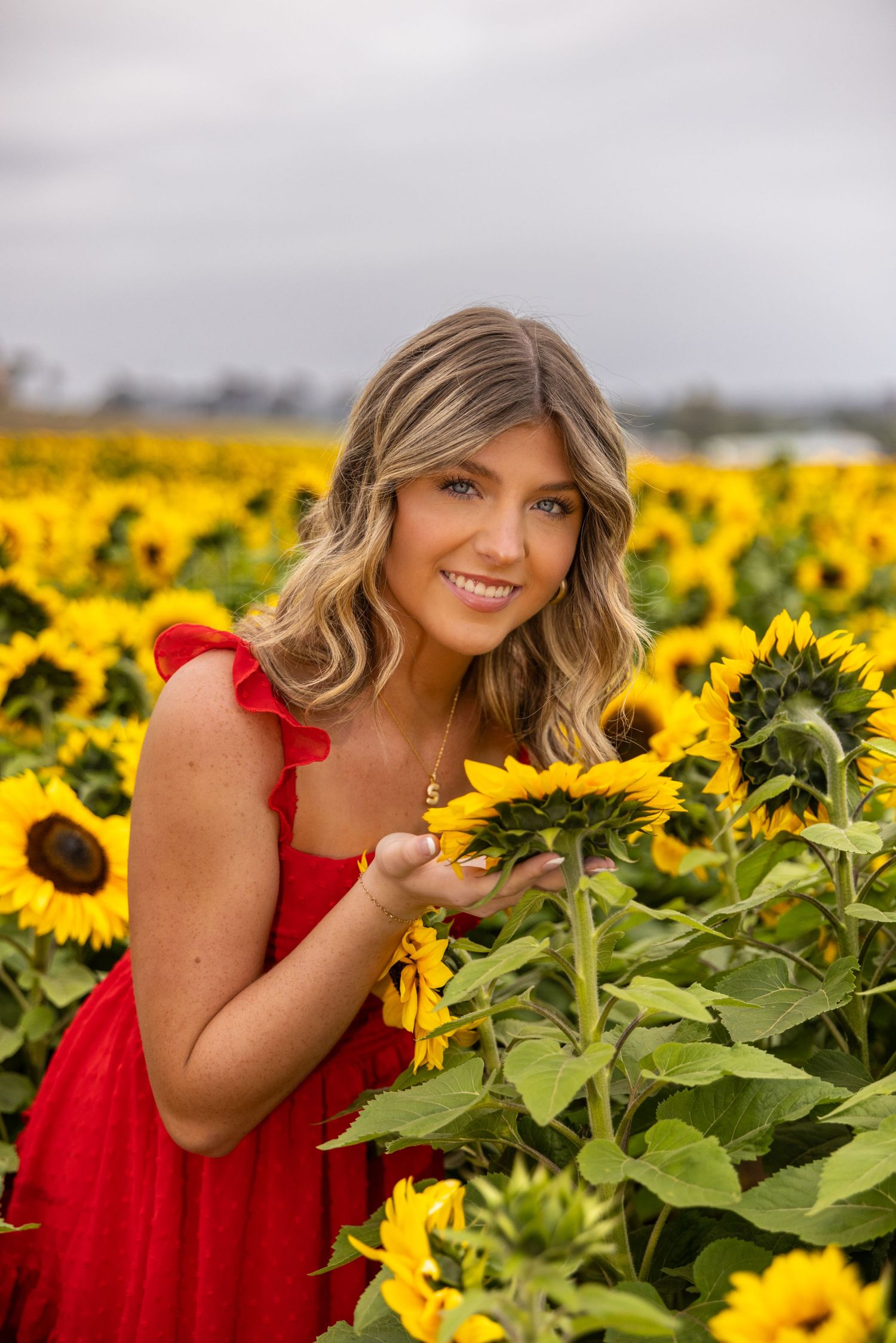 Model Sunflower Fields