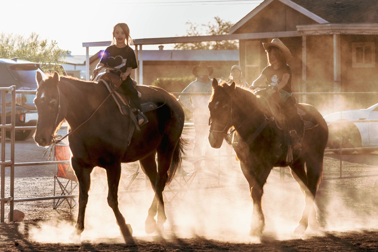 Horses Cowgirl