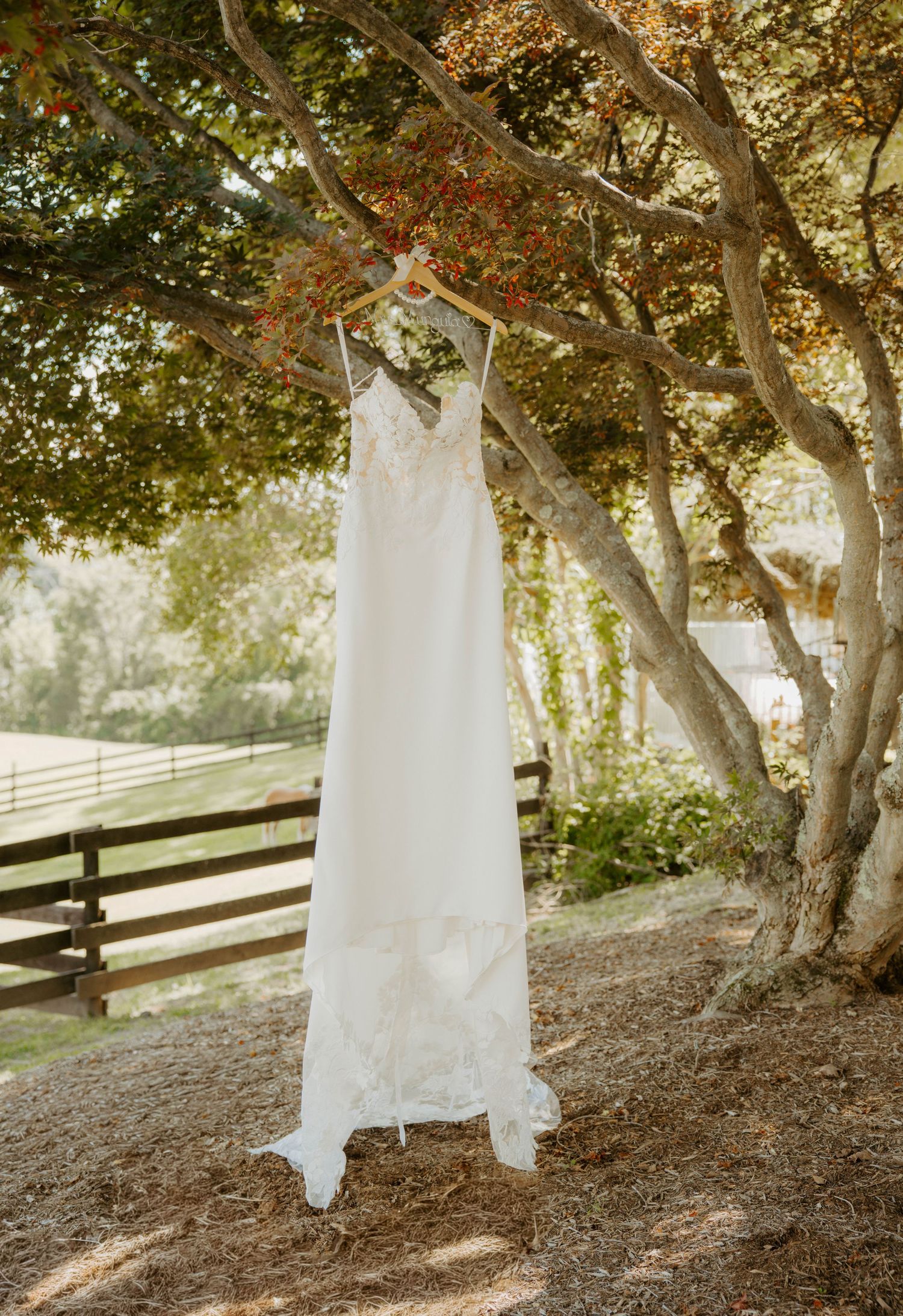 White lace wedding dress hanging from a tree branch outdoors at a rustic farm venue.