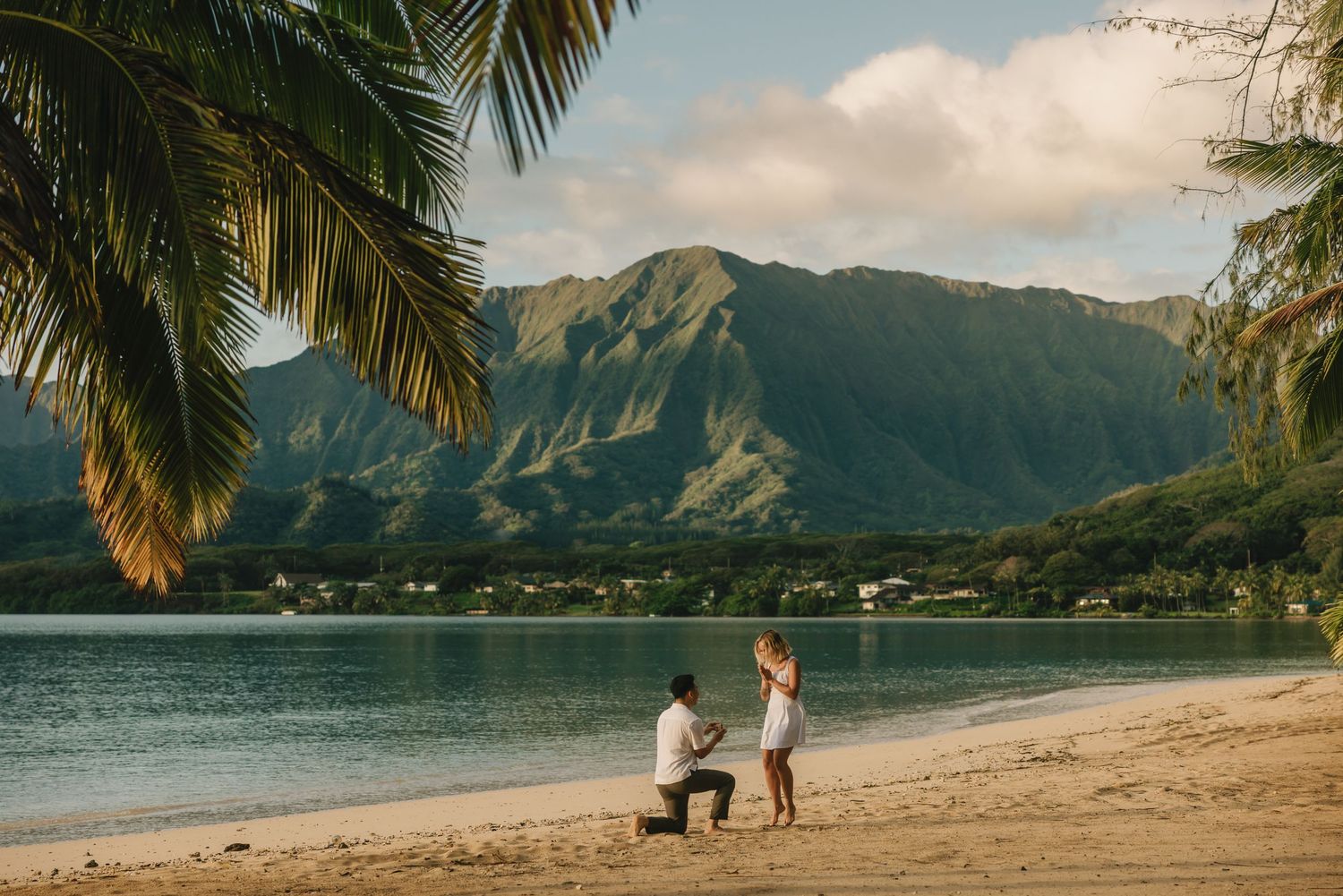 Man proposes to woman on a sandy Hawaiian beach with lush green mountains and calm blue water in the background.