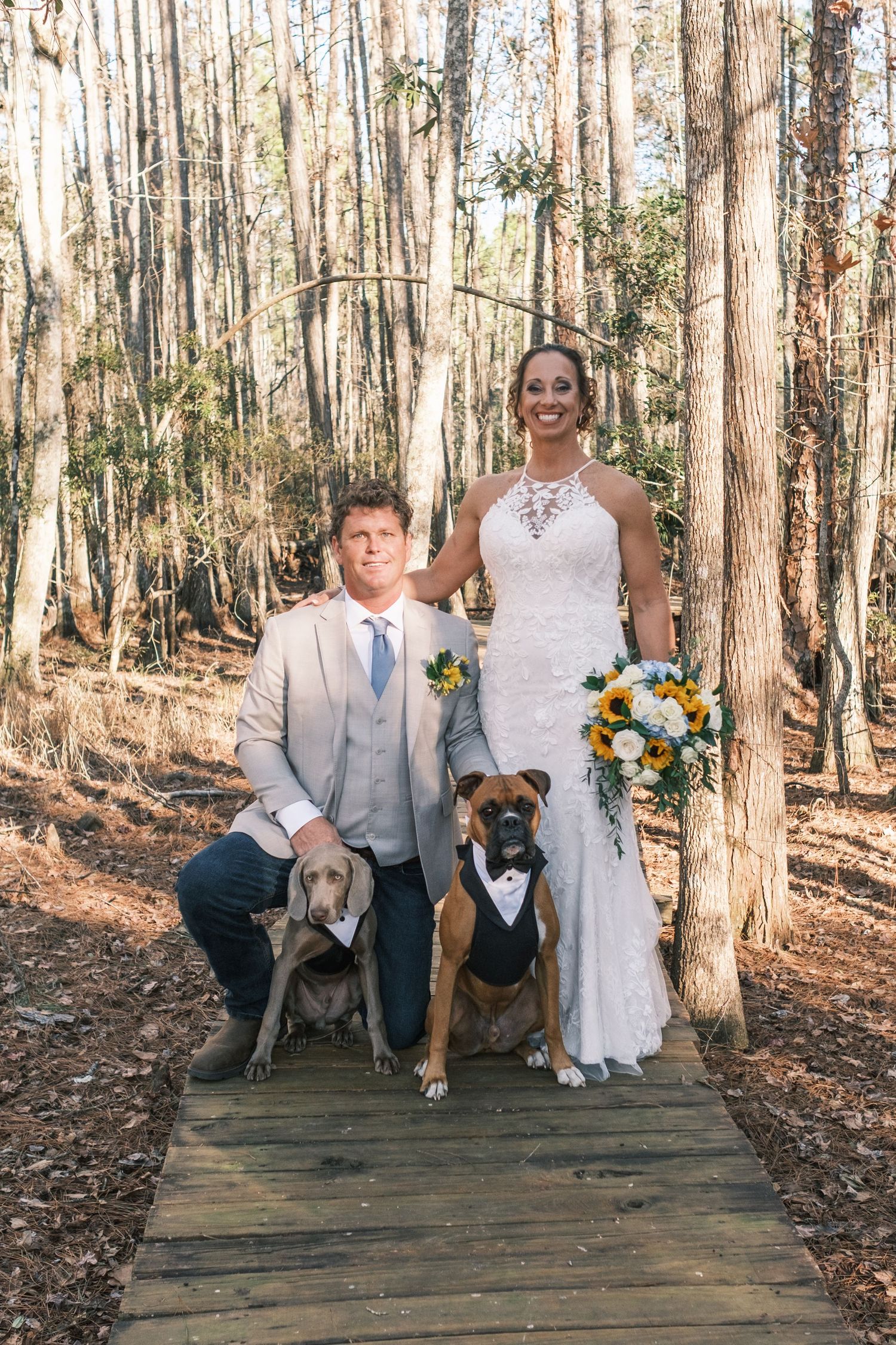 Bride and groom posing with two dogs in tuxedos on woodland boardwalk path.