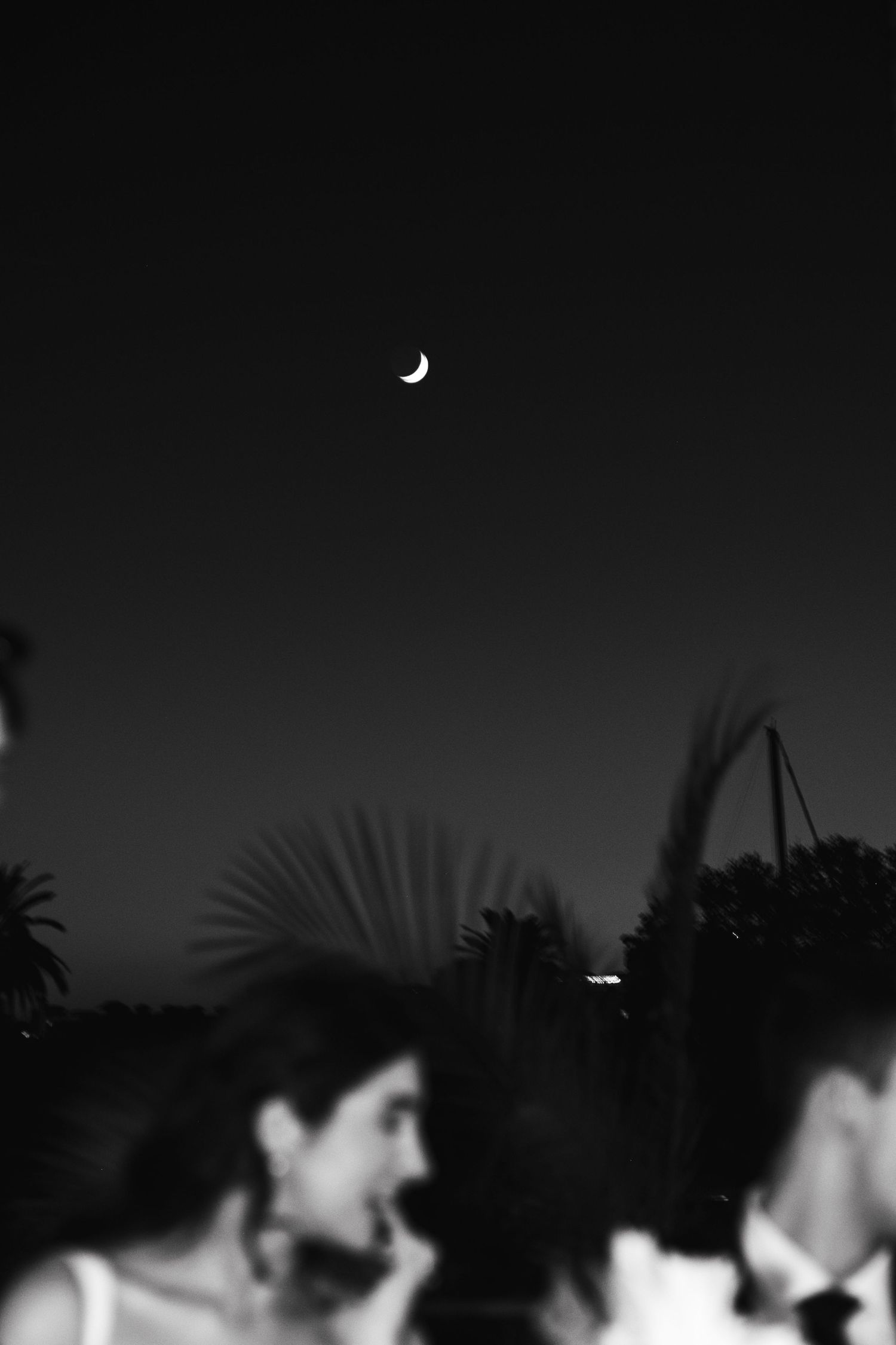 Dark silhouettes of palm trees against a night sky with a crescent moon.