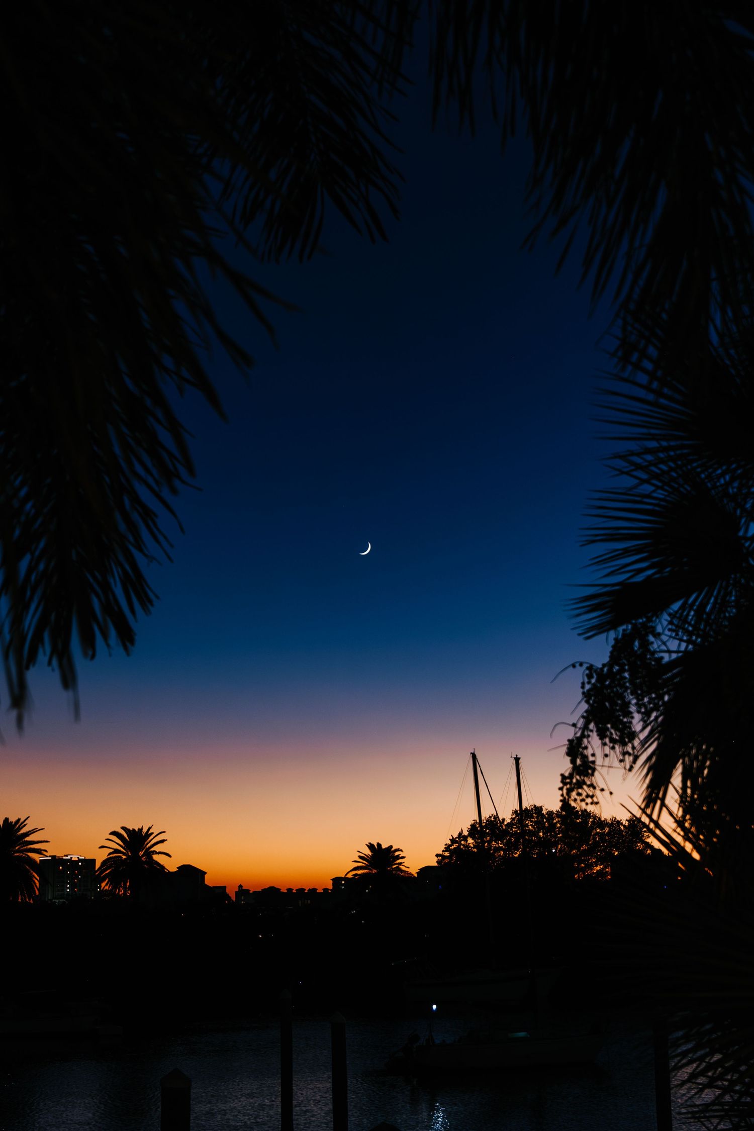 Dramatic sunset sky with crescent moon silhouetted by palm fronds.