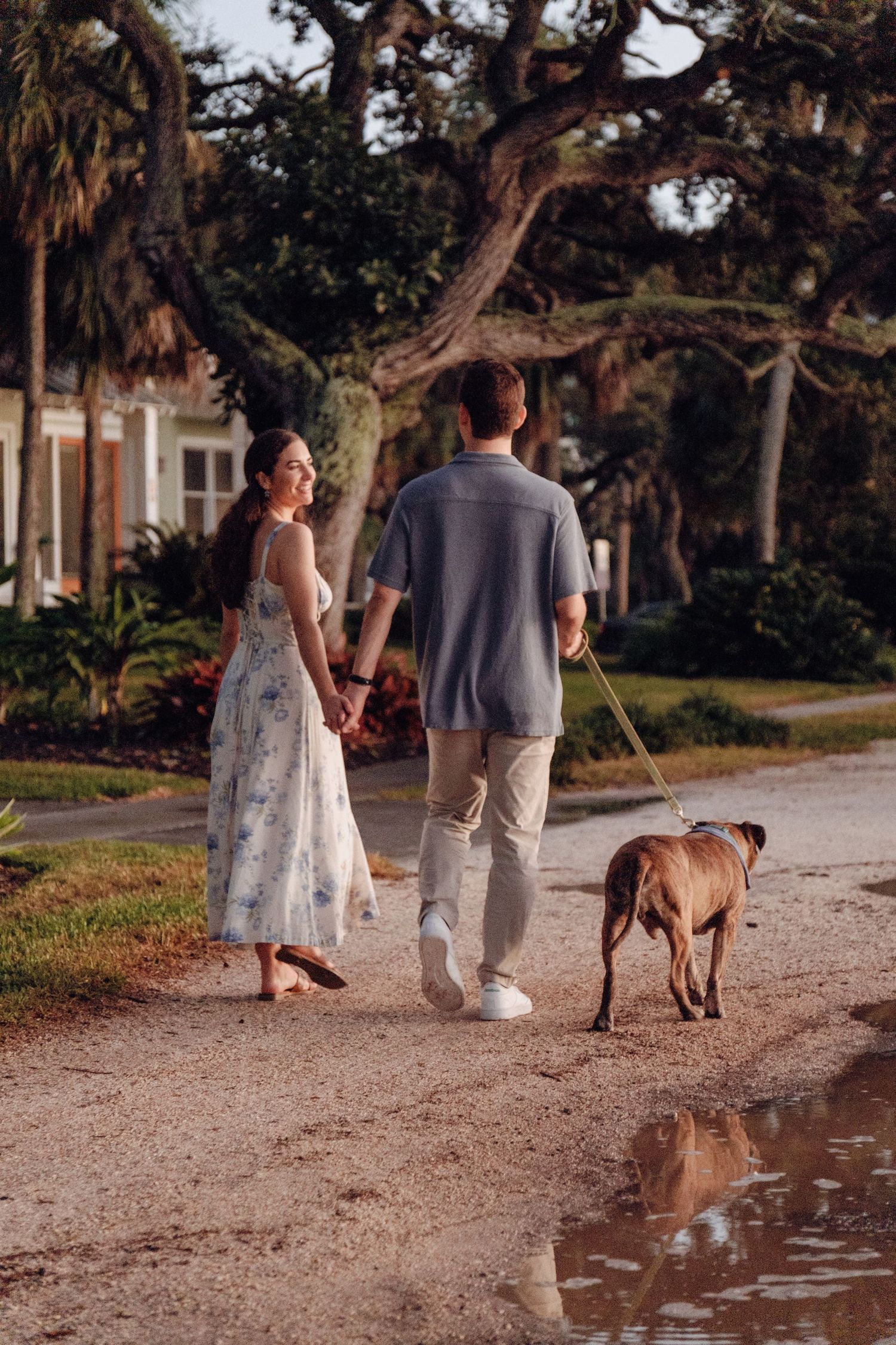 A couple walking their brown dog on a path surrounded by palm trees and puddles at sunset.