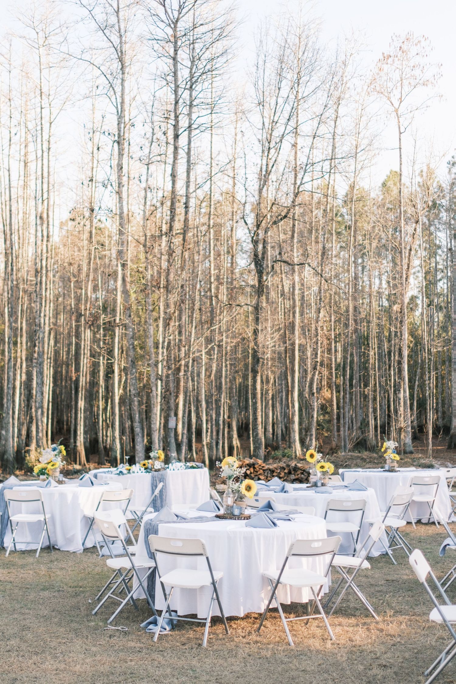 Elegant outdoor wedding reception with white round tables and sunflower centerpieces set among tall bare trees.