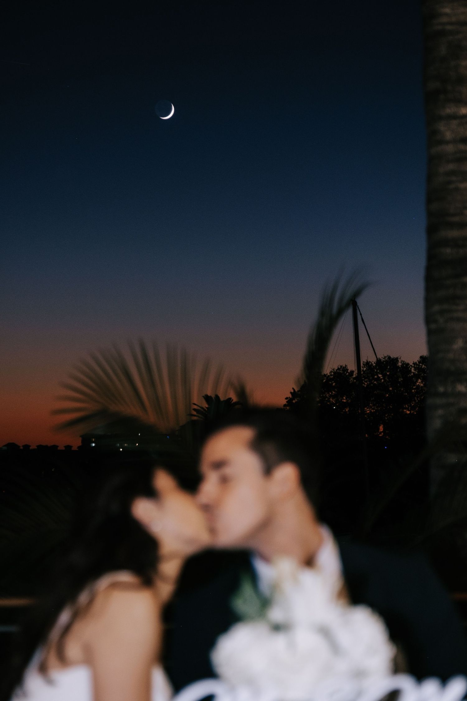 A silhouetted couple embraces during sunset with palm fronds and a crescent moon visible in the darkening sky.