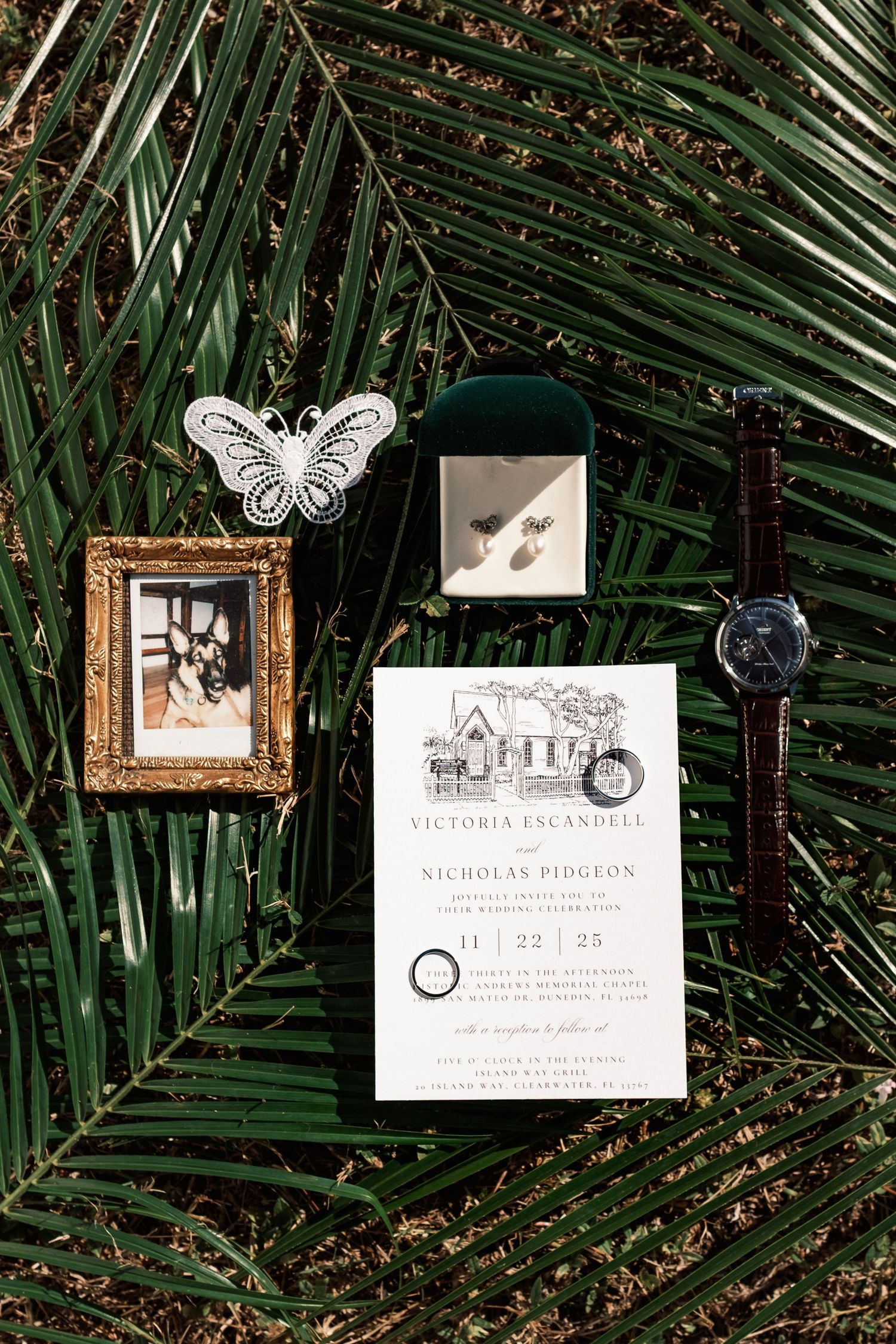 Elegant wedding invitation suite with butterfly details displayed on tropical palm fronds with vintage frames.