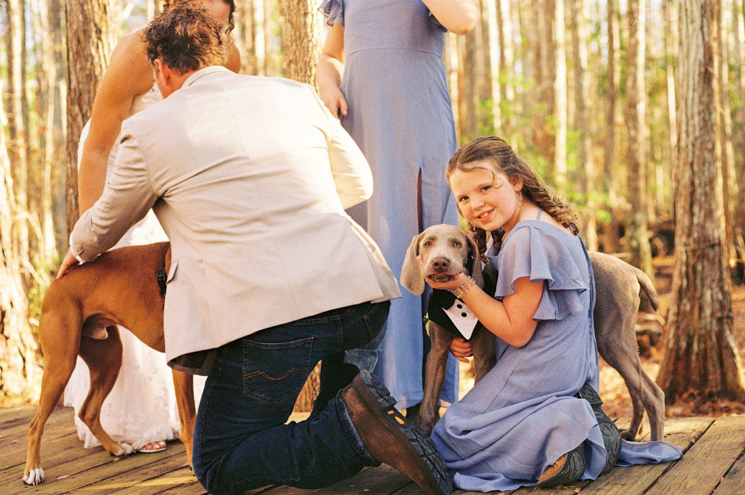 Young girl in blue dress cuddles gray dog on wooden deck during outdoor woodland wedding ceremony.