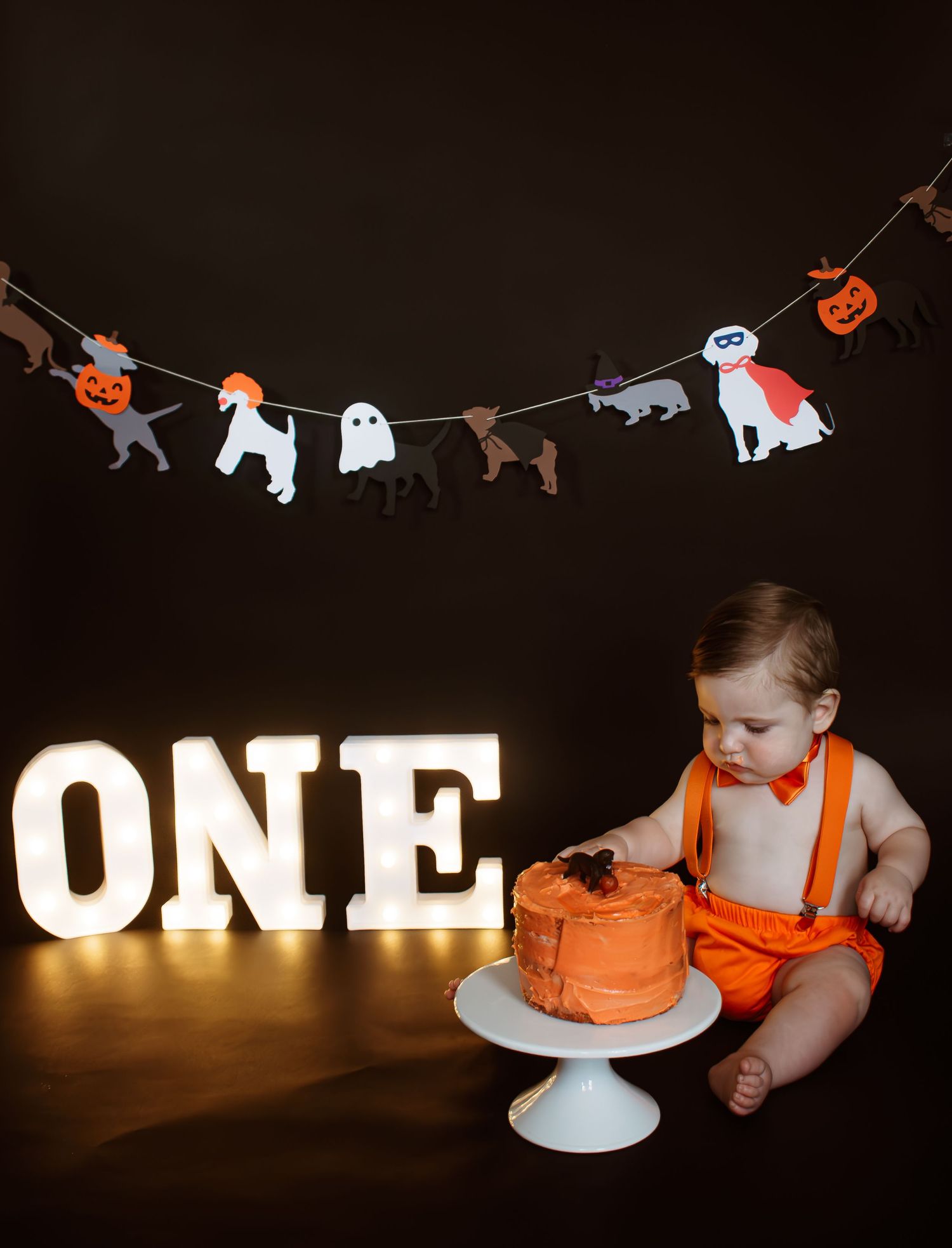 Cake smash studio photoshoot in MA