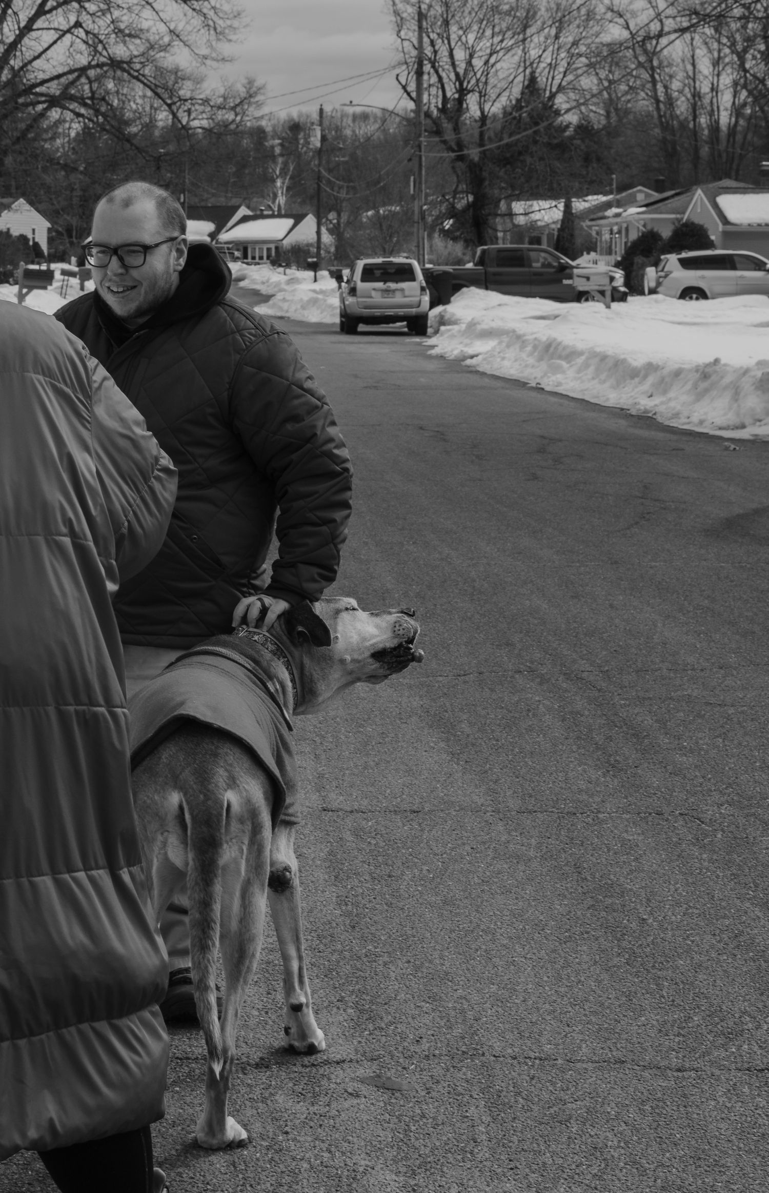 Man with glasses smiling while petting a greyhound dog on a snowy suburban street in winter.