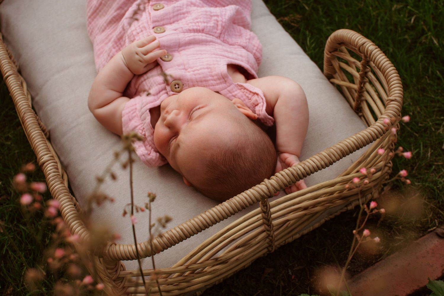 Studio newborn session photographer based in Massachusetts