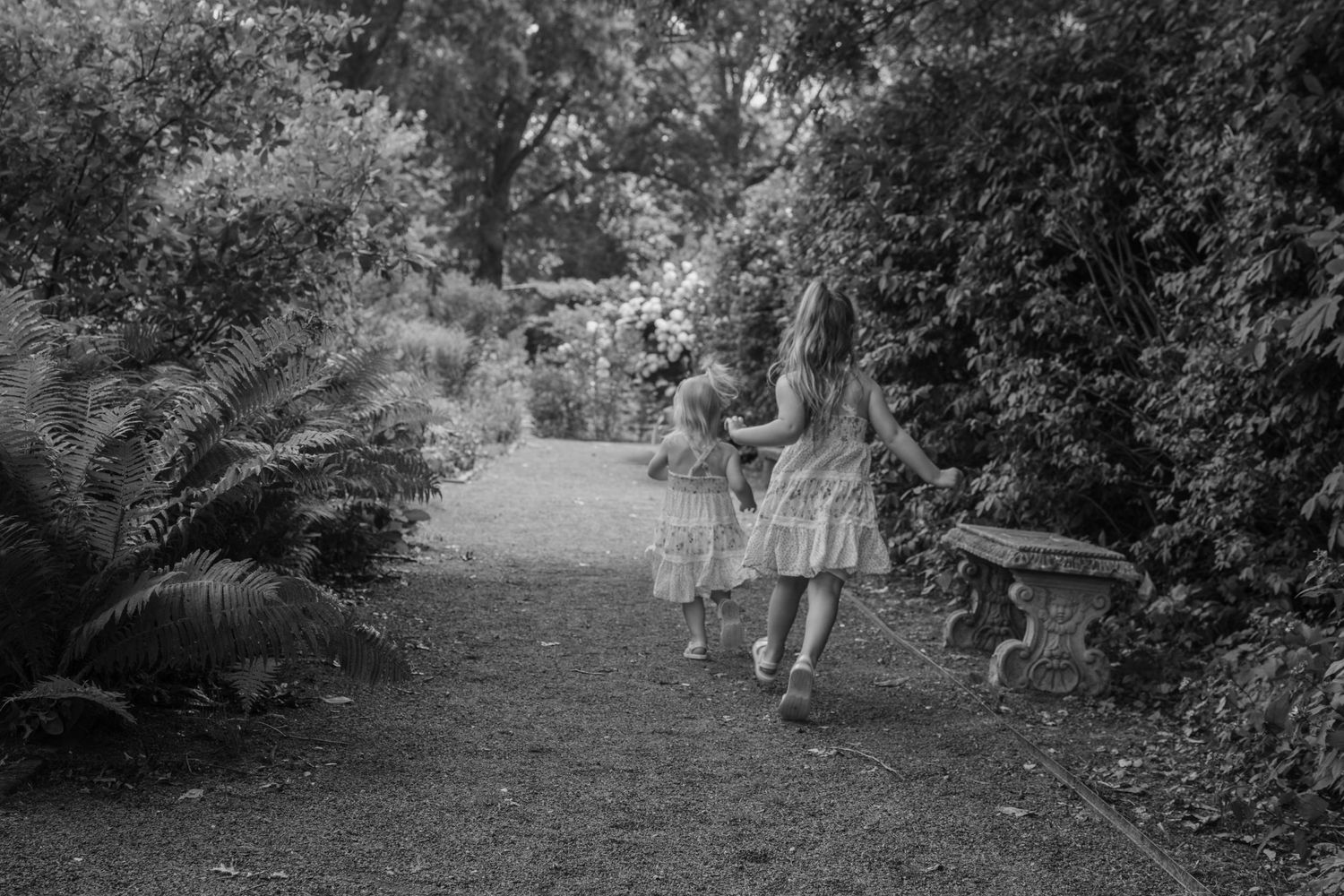 Boston Massachusetts photographer, Hartford Connecticut phootgrapher, Burlington Vermont photographer, York Maine photographer