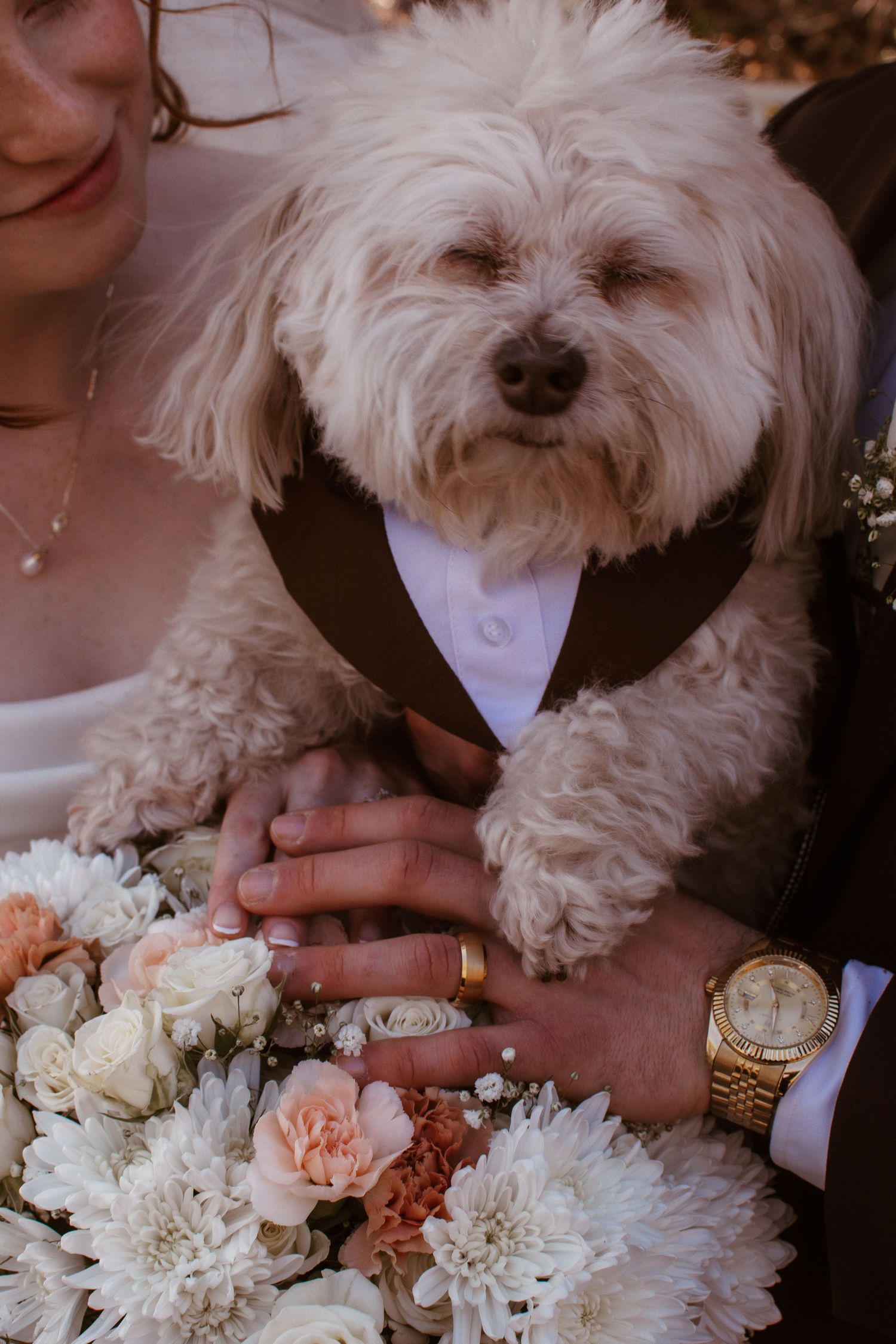 Fluffy white dog wearing a tuxedo vest held by newlyweds with wedding bouquet of white and peach roses.