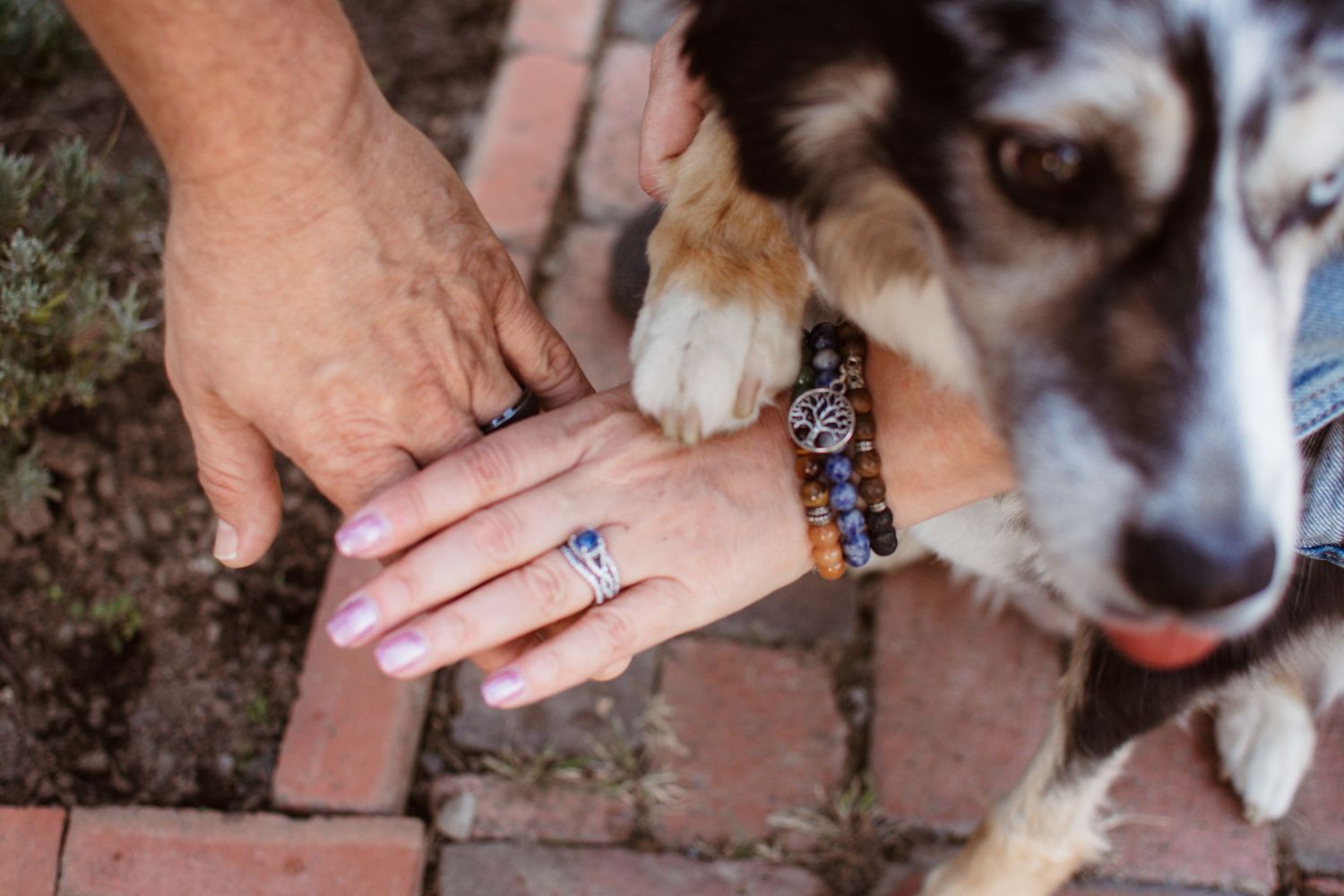 Close-up of hands showing engagement ring with beaded bracelet, while a husky dog rests its paw nearby on brick pavers.