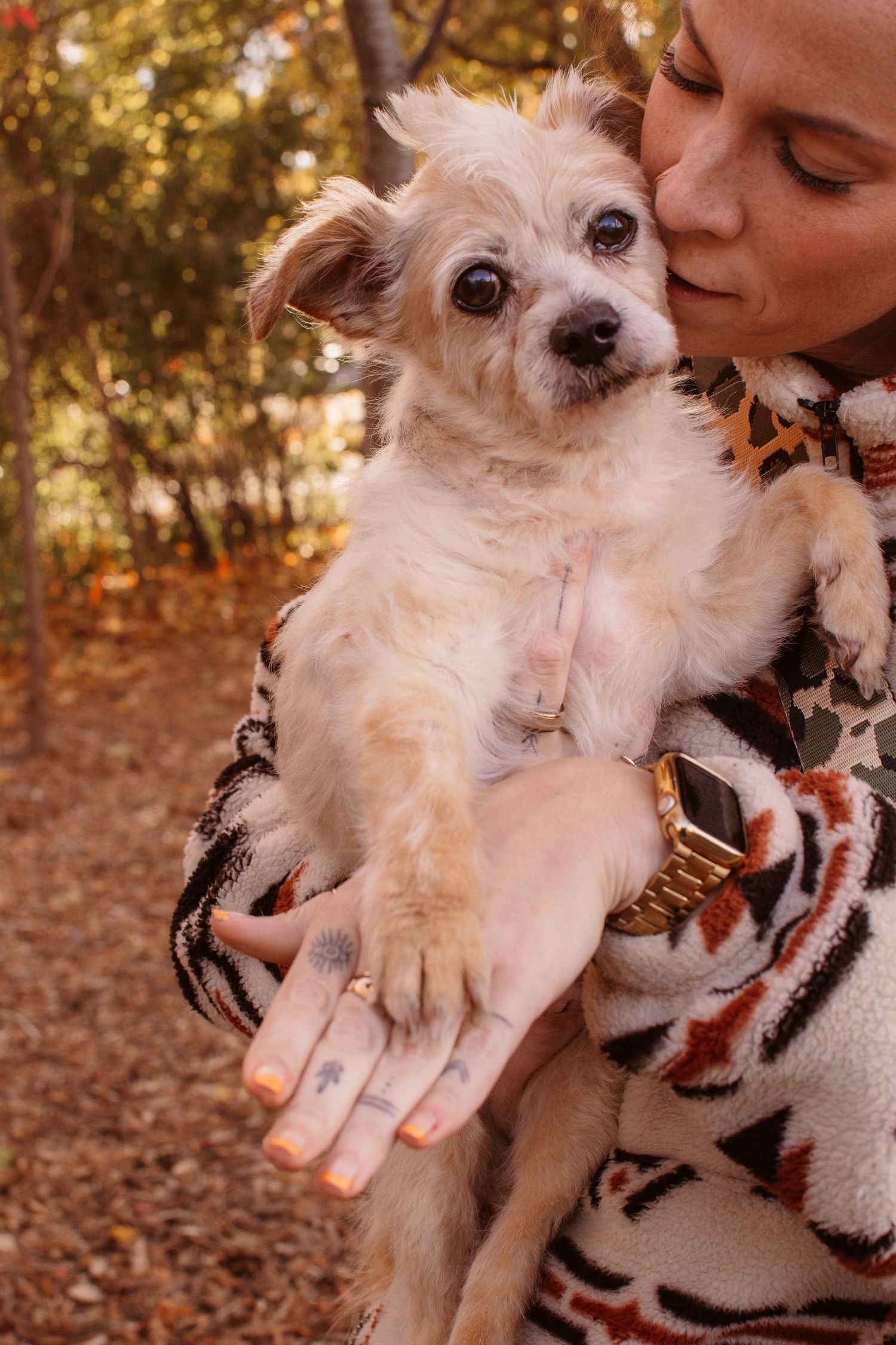 Person in patterned jacket kissing small fluffy white dog held in arms outdoors in autumn forest setting.