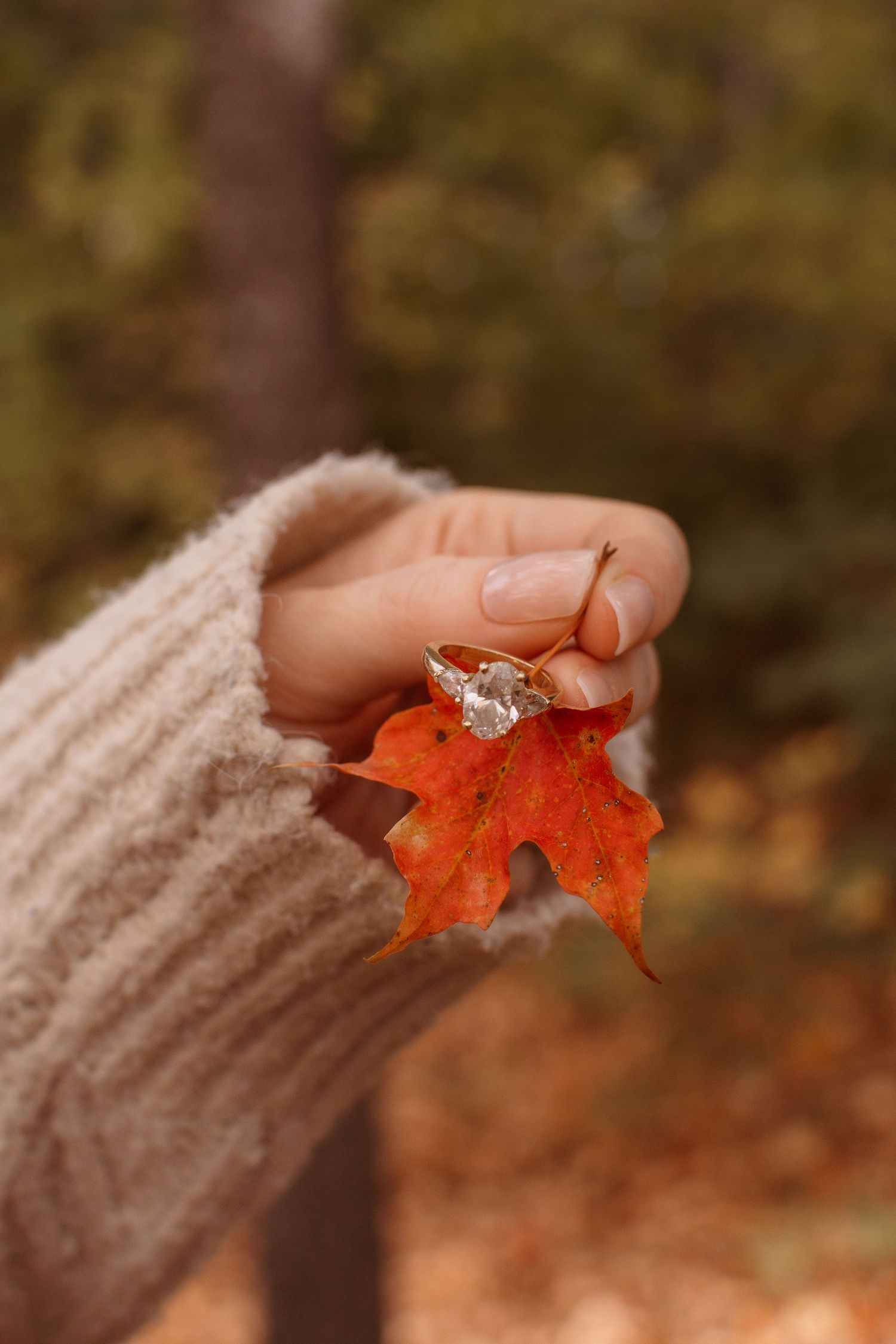 A hand wearing a beige sweater holds a bright red maple leaf while displaying an engagement ring in autumn.